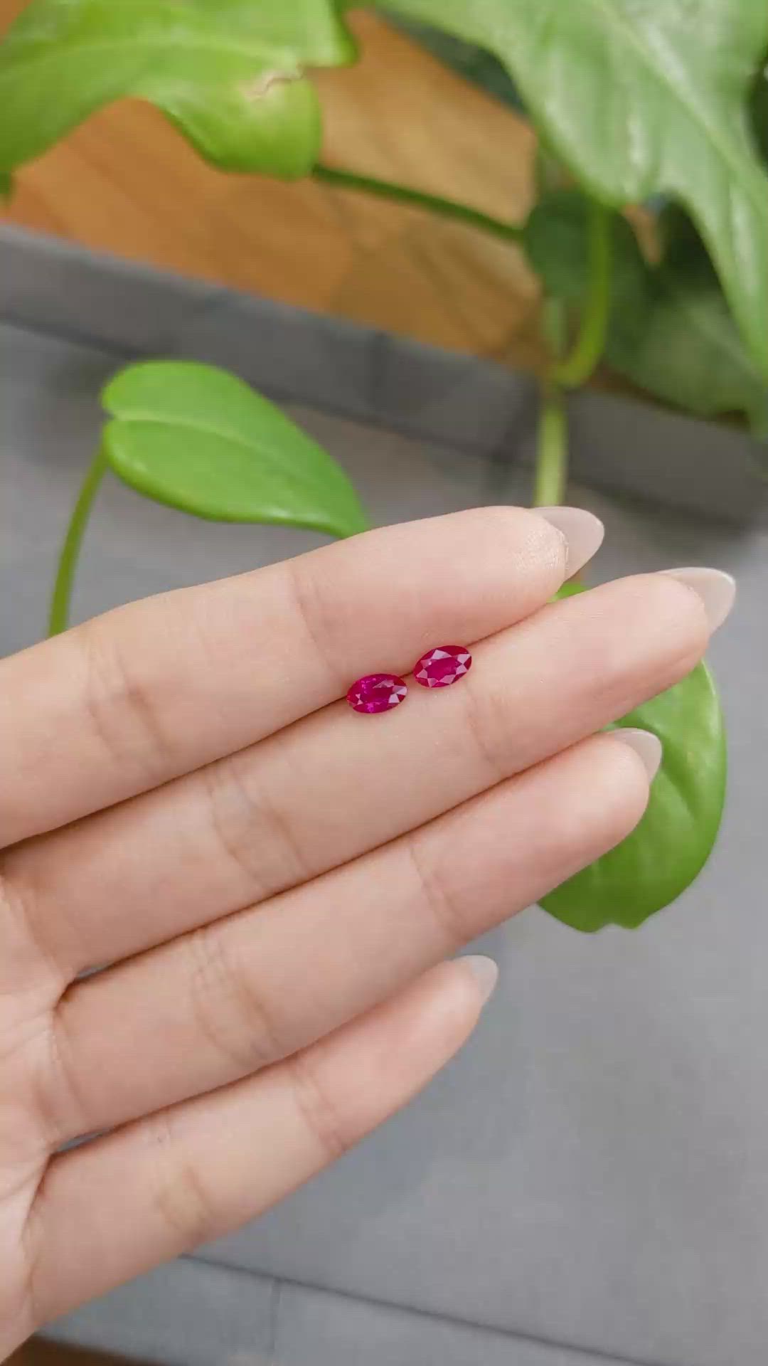 0.86 Ct.Tw.Total Carat Weight Ruby Pair from Burma (Myanmar) Size Video