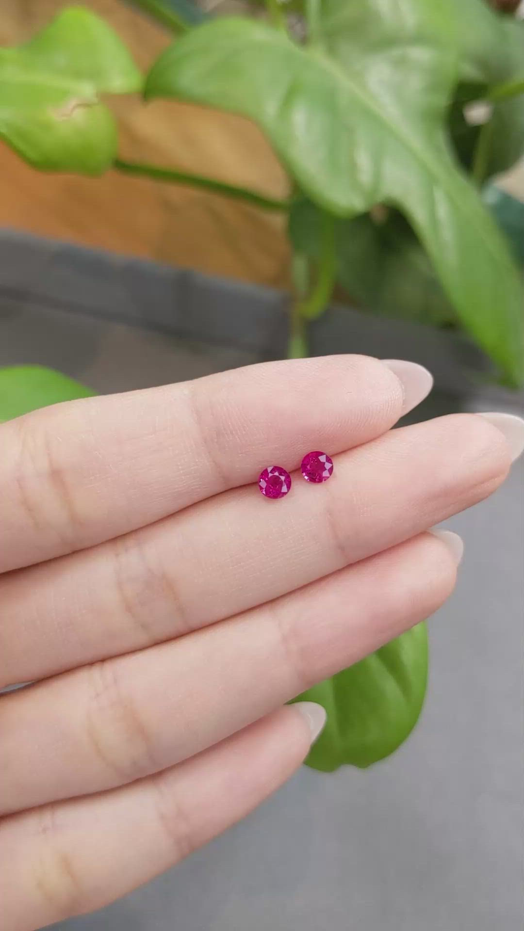 0.68 Ct.Tw.Total Carat Weight Ruby Pair from Burma (Myanmar) Size Video