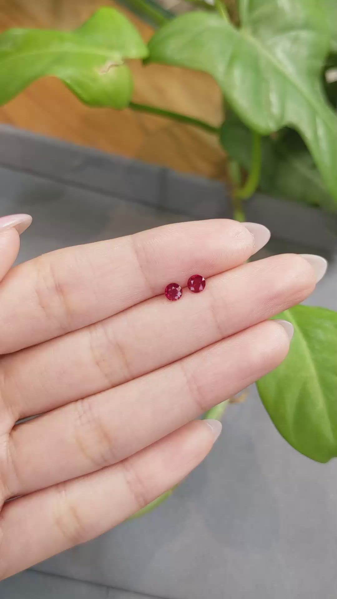0.57 Ct.Tw.Total Carat Weight Ruby Pair from Thailand Size Video