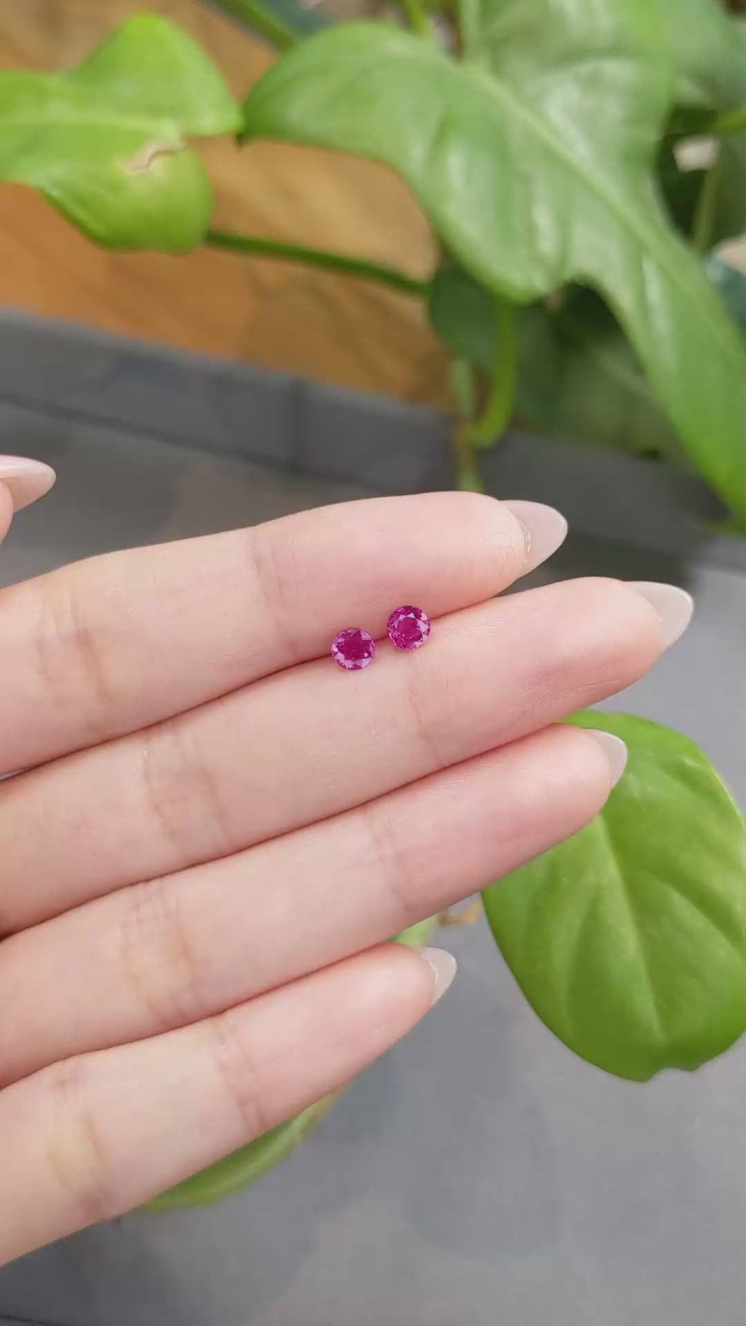 0.86 Ct.Tw.Total Carat Weight Ruby Pair from Thailand Size Video