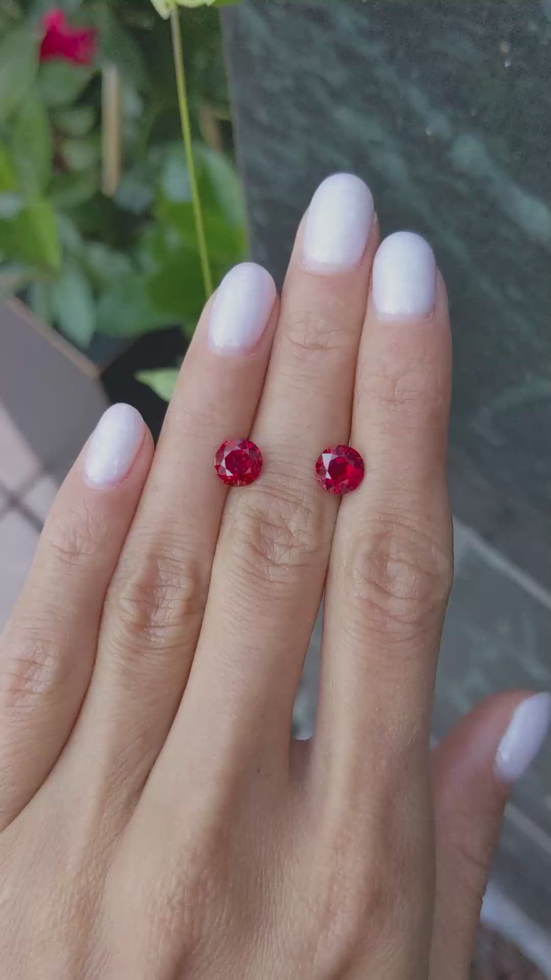 3.30&nbsp;Ct.Tw.Total Carat Weight Ruby Pair from Mozambique Size Video