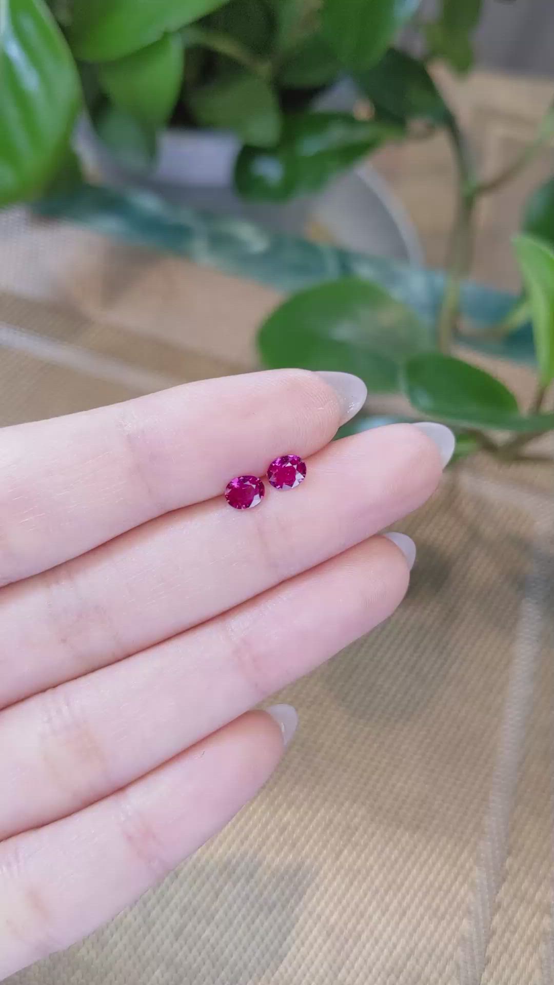 0.68&nbsp;Ct.Tw.Total Carat Weight Ruby Pair from Mozambique Size Video