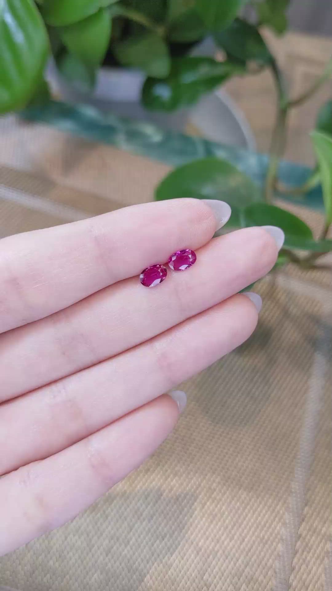 1.01 Ct.Tw.Total Carat Weight Ruby Pair from Mozambique Size Video