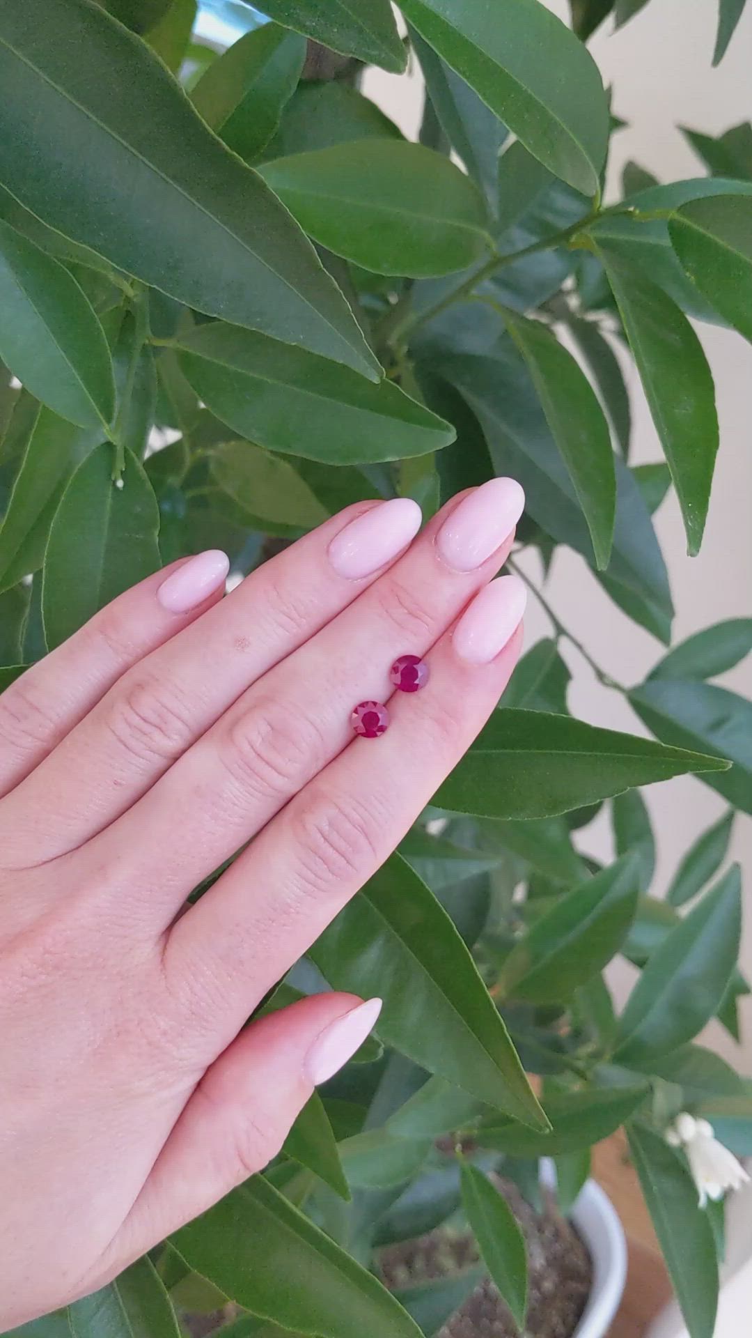 1.90 Ct.Tw.Total Carat Weight Ruby Pair from Mozambique Size Video