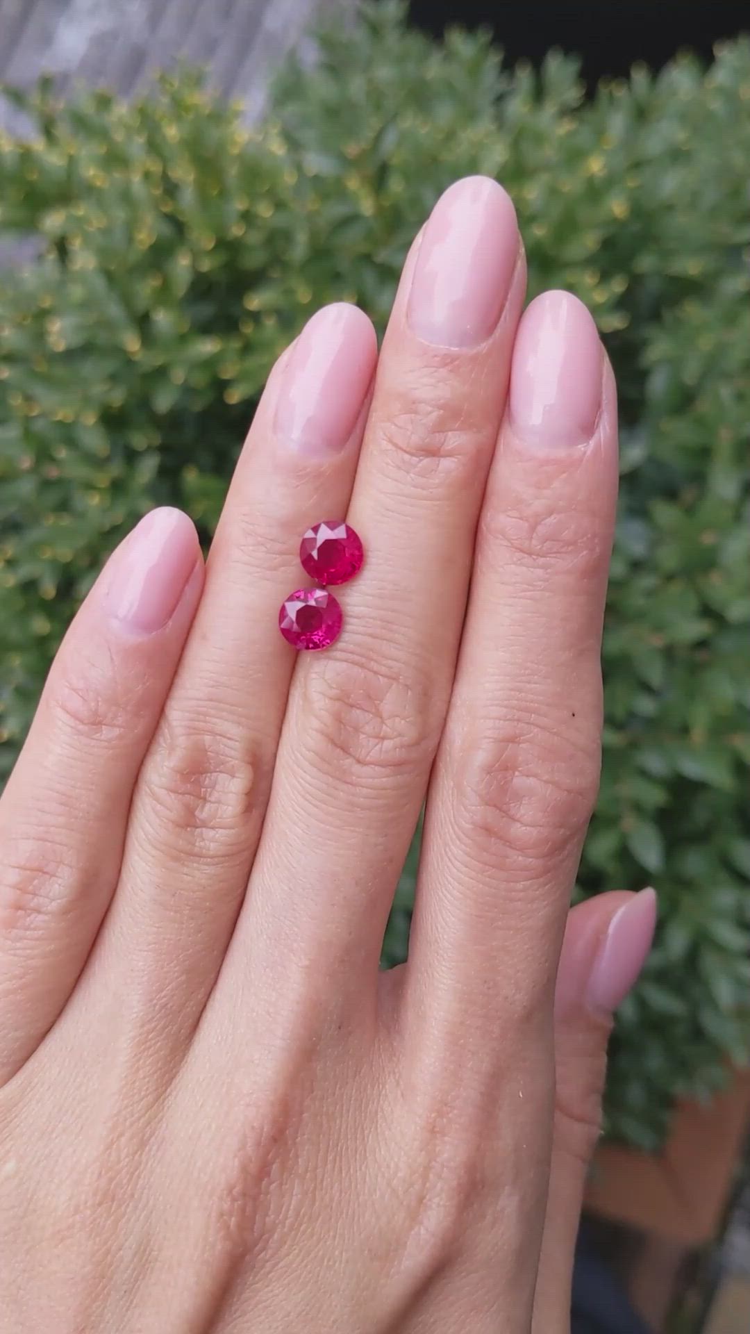 2.71&nbsp;Ct.Tw.Total Carat Weight Ruby Pair from Mozambique Size Video