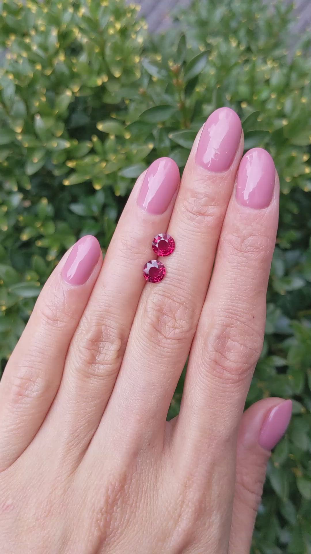 1.69 Ct.Tw.Total Carat Weight Ruby Pair from Mozambique Size Video