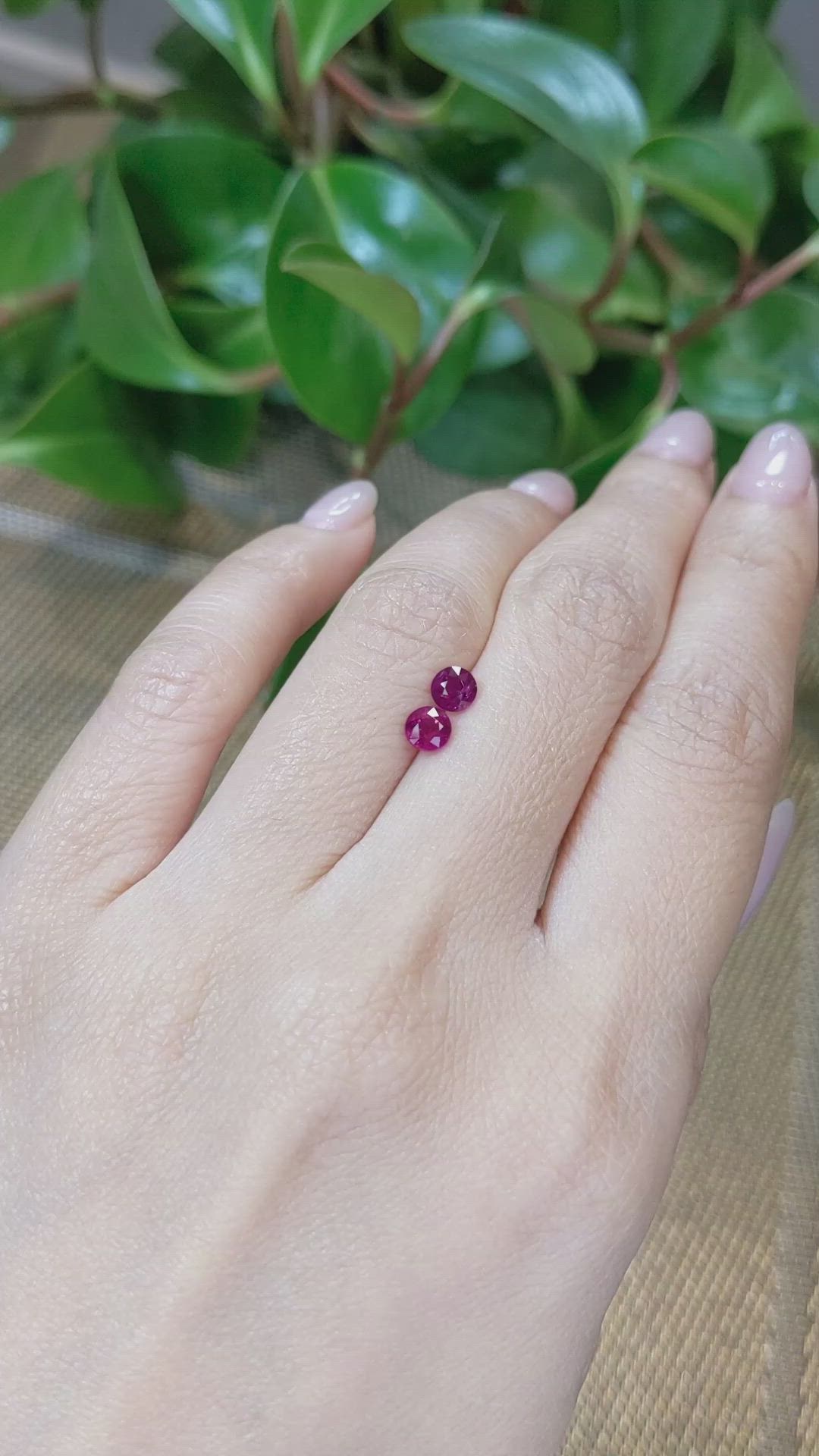 1.04&nbsp;Ct.Tw.Total Carat Weight Ruby Pair from Burma (Myanmar) Size Video