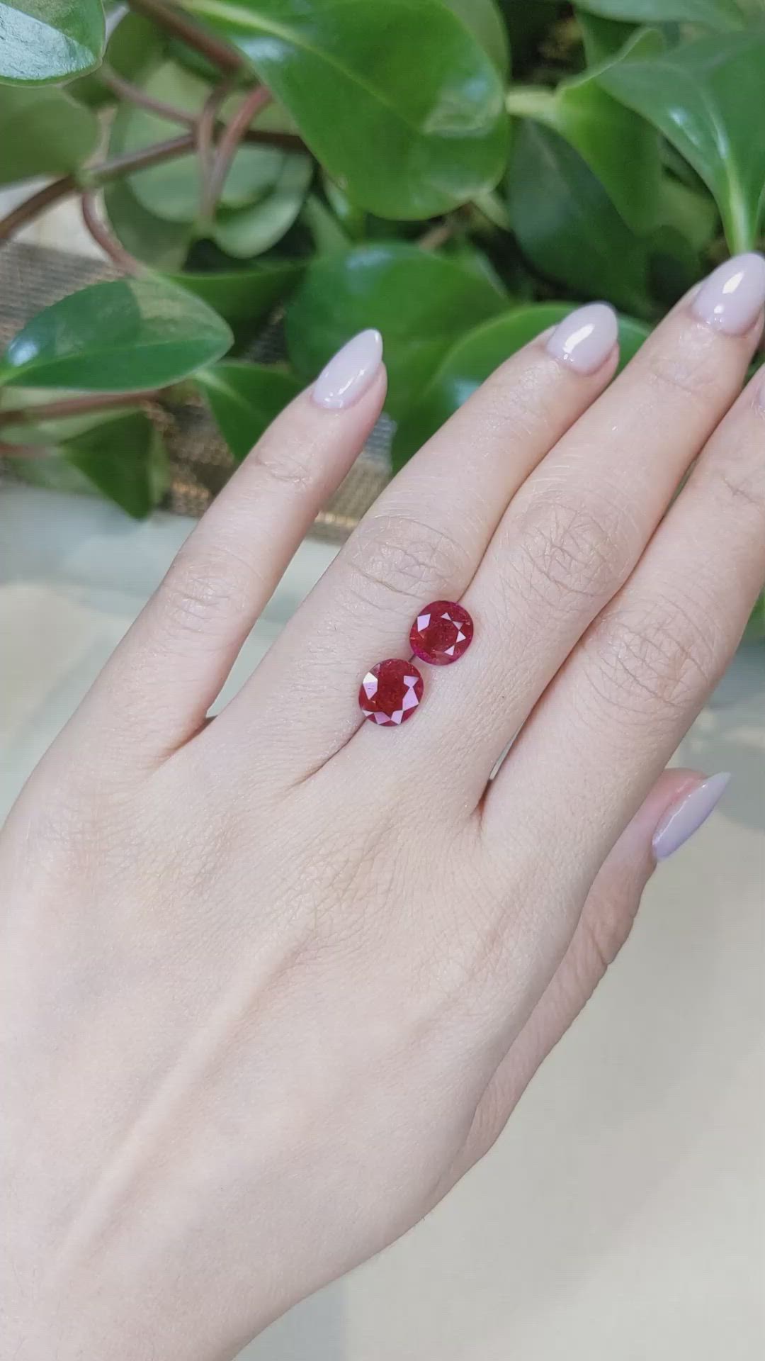 4.06&nbsp;Ct.Tw.Total Carat Weight Pinkish Red Ruby Pair from Mozambique Size Video