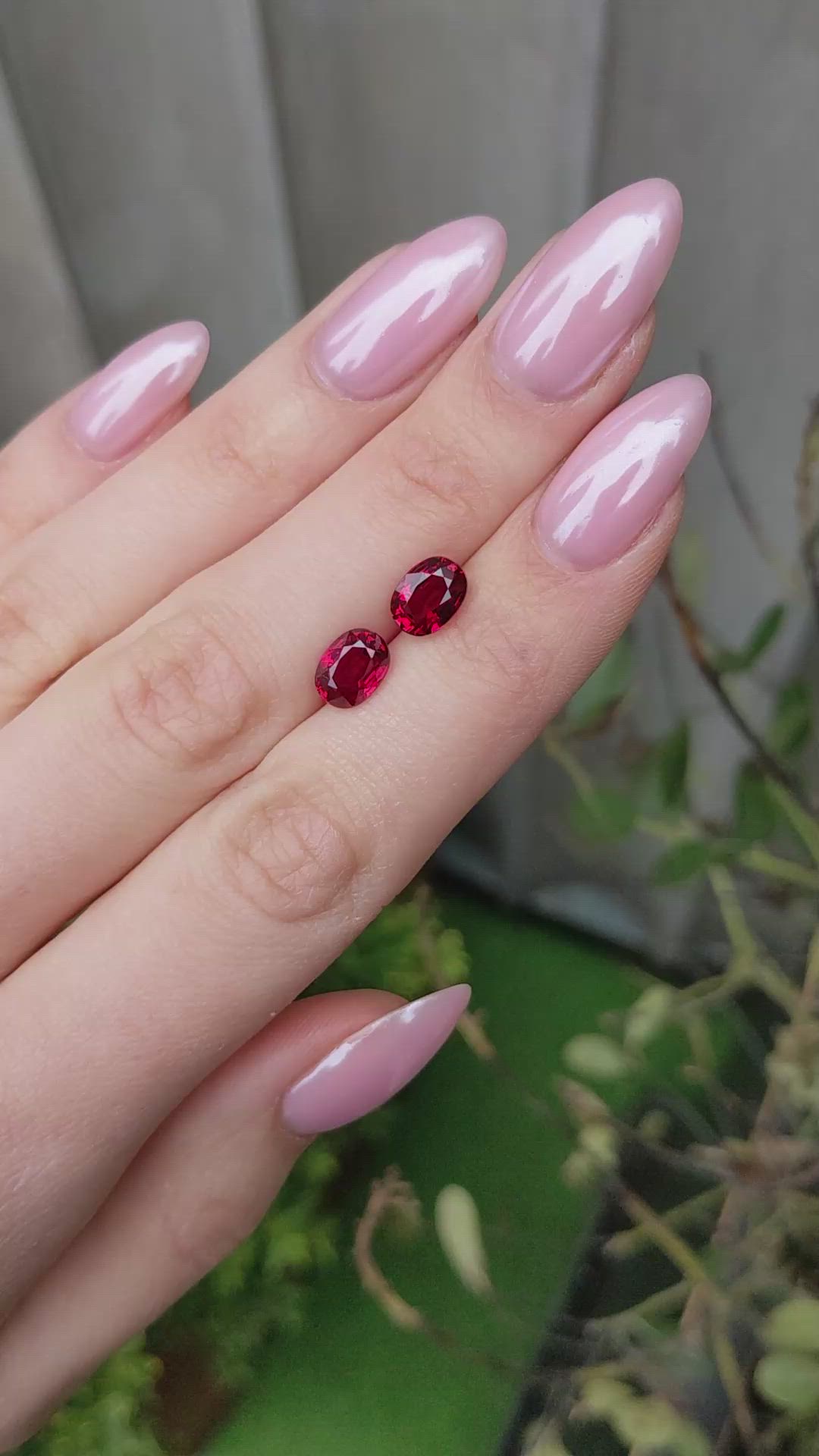 4.15&nbsp;Ct.Tw.Total Carat Weight Ruby Pair from Mozambique Size Video