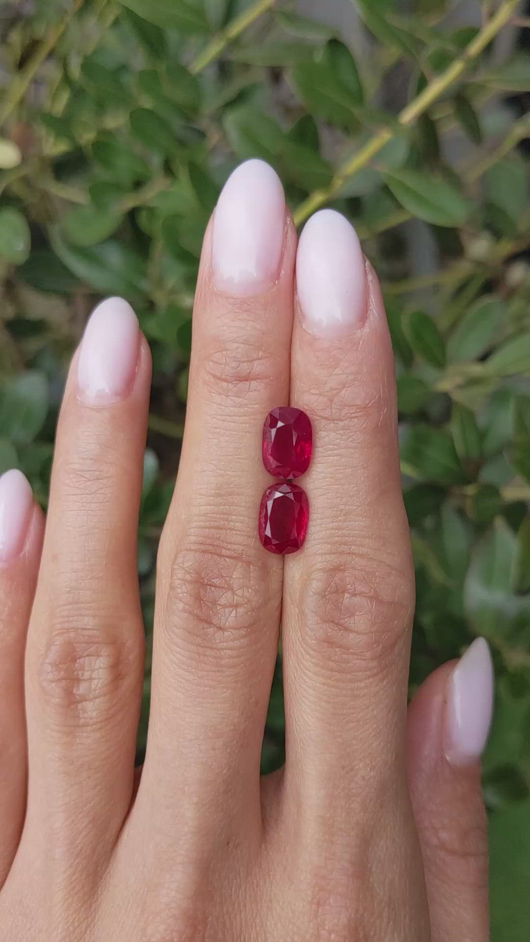 4.80 Ct.Tw.Total Carat Weight Ruby Pair from Burma (Myanmar) Size Video