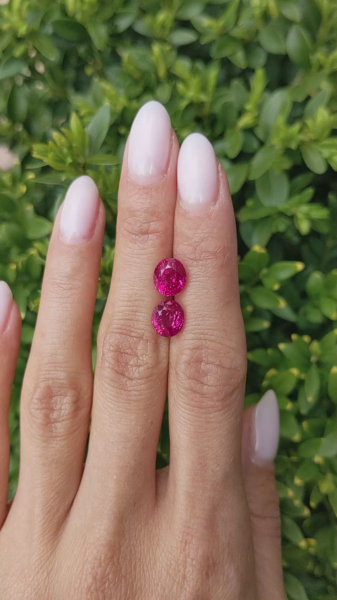 5.94 Ct.Tw.Total Carat Weight Pinkish Red Ruby Pair from Burma (Myanmar) Size Video