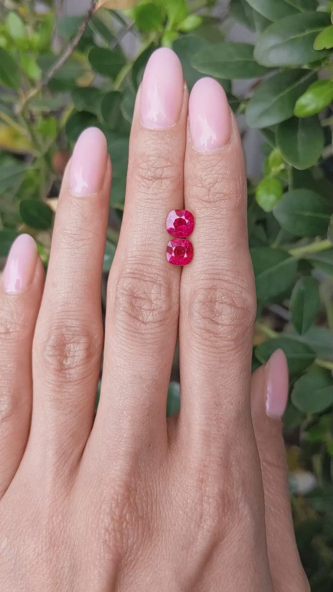 2.54&nbsp;Ct.Tw.Total Carat Weight Ruby Pair from Burma (Myanmar) Size Video