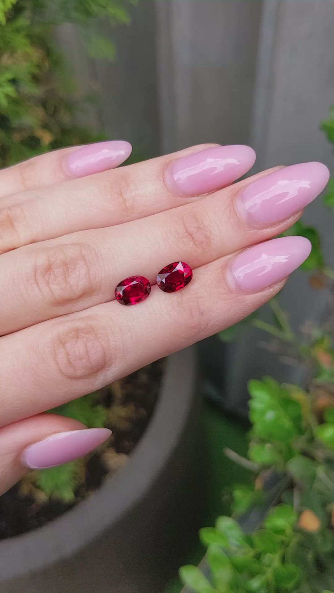 4.16&nbsp;Ct.Tw.Total Carat Weight Ruby Pair from Mozambique Size Video