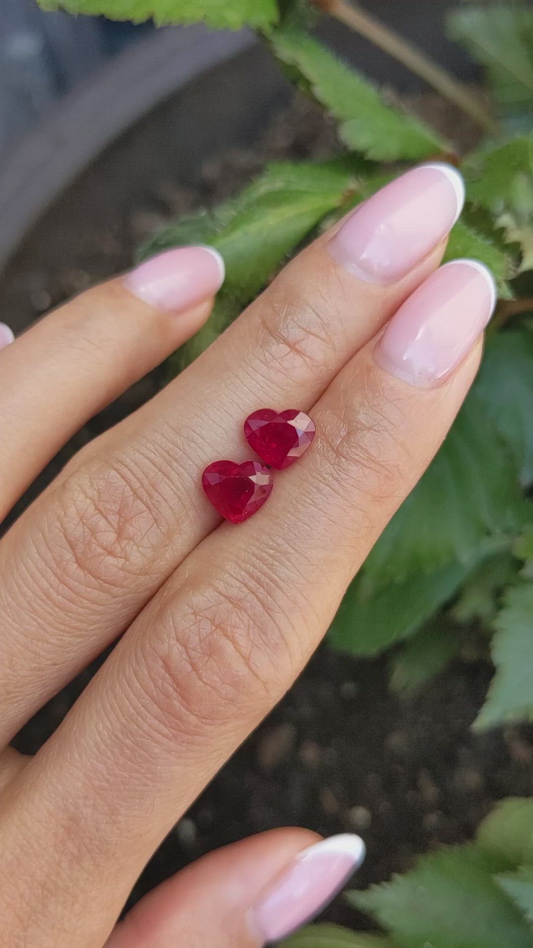 4.17&nbsp;Ct.Tw.Total Carat Weight Ruby Pair from Burma (Myanmar) Size Video
