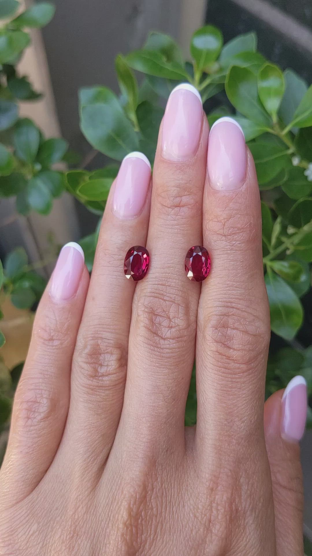 4.35 Ct.Tw.Total Carat Weight Ruby Pair from Mozambique Size Video
