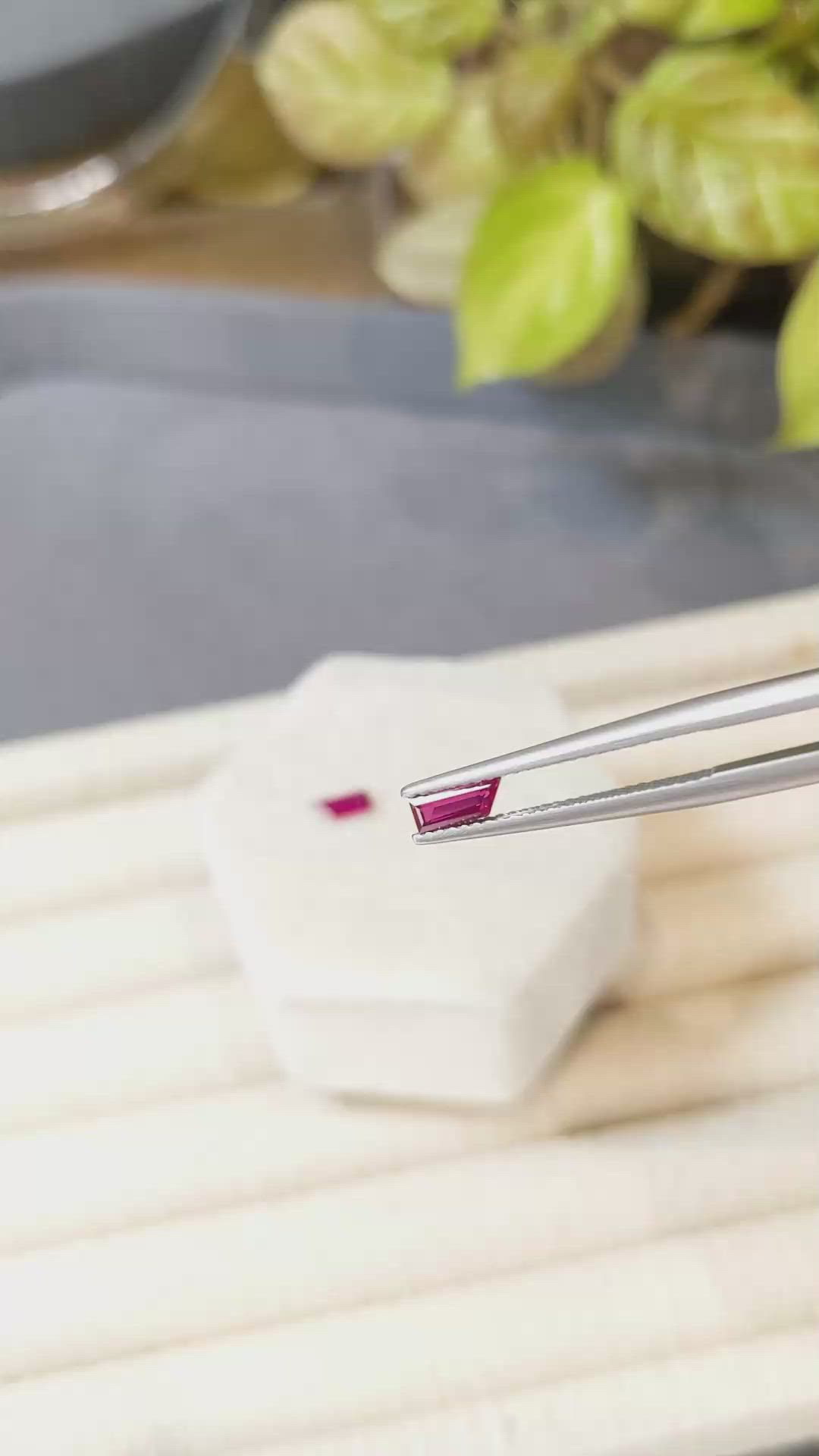 0.69&nbsp;Ct.Tw.Total Carat Weight Pinkish Red Ruby Pair from Mozambique Size Video