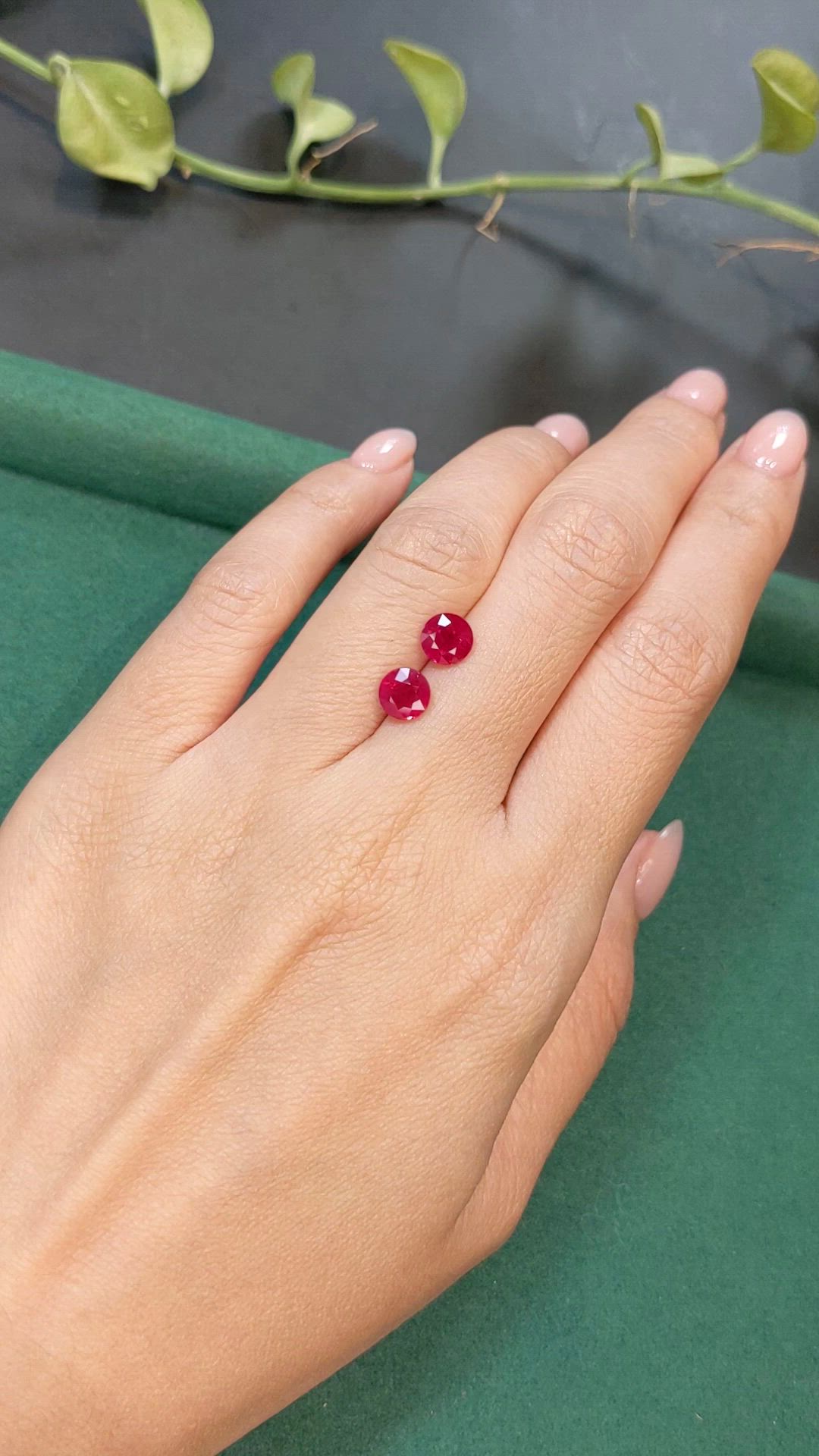 2.76&nbsp;Ct.Tw.Total Carat Weight Purplish Red Ruby Pair from Mozambique Size Video