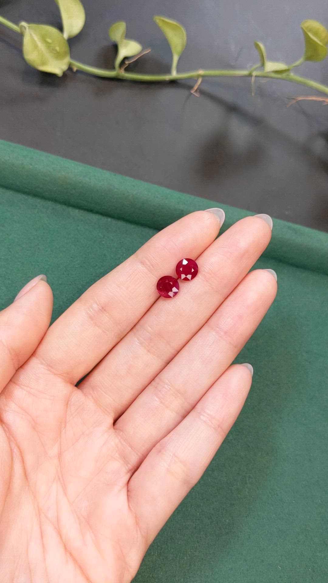 3.20&nbsp;Ct.Tw.Total Carat Weight Purplish Red Ruby Pair from Mozambique Size Video