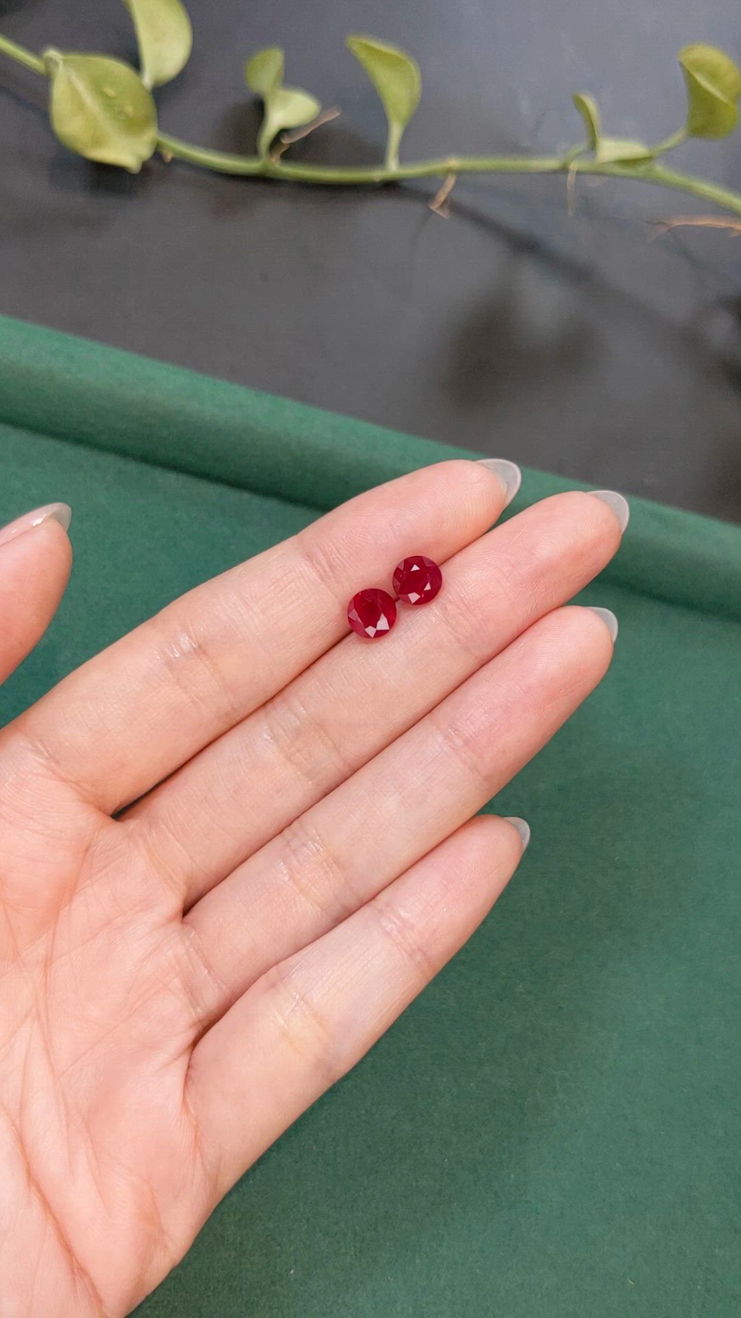 3.25&nbsp;Ct.Tw.Total Carat Weight Ruby Pair from Mozambique Size Video