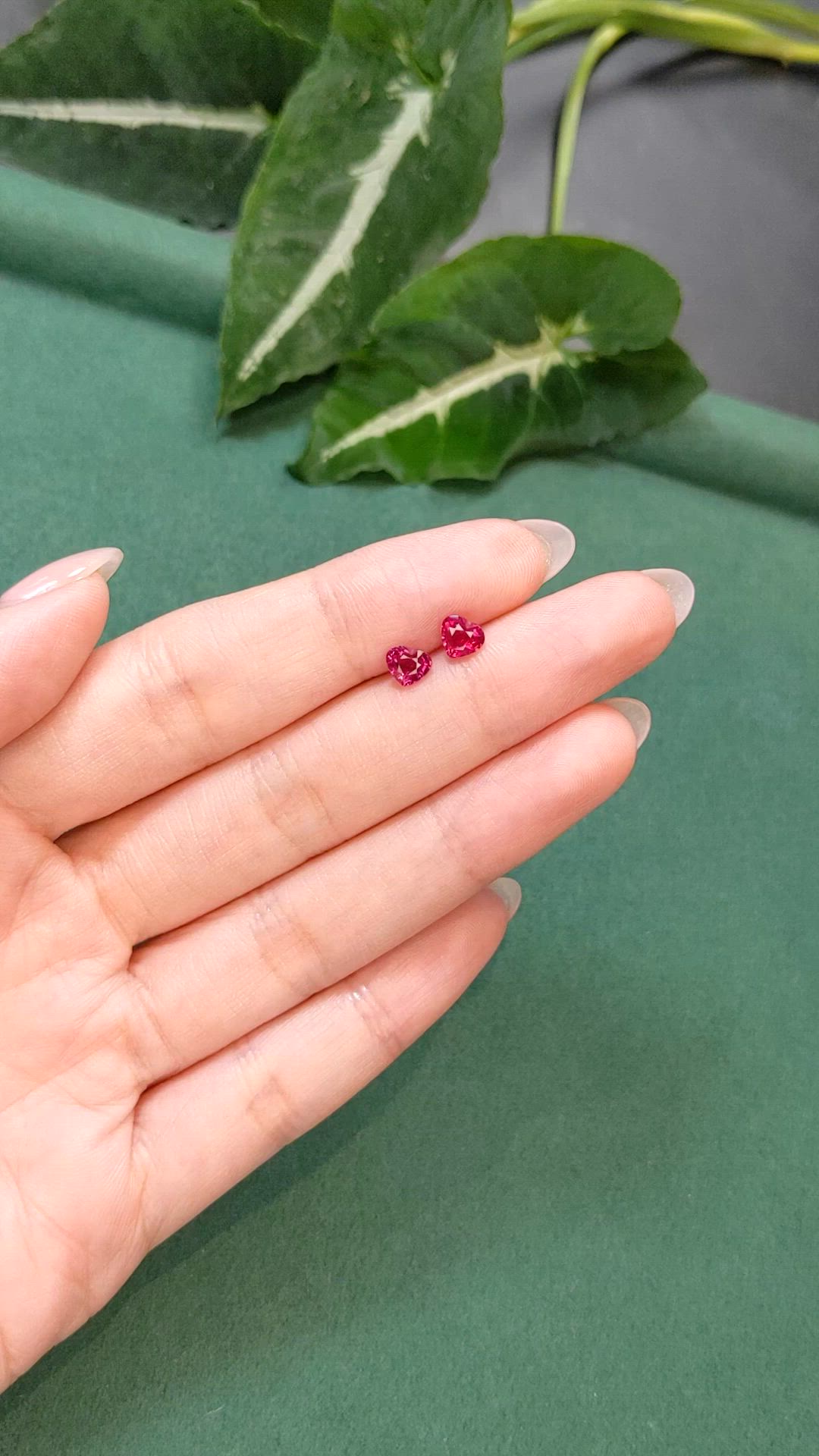 1.24 Ct.Tw.Total Carat Weight Ruby Pair from Mozambique Size Video