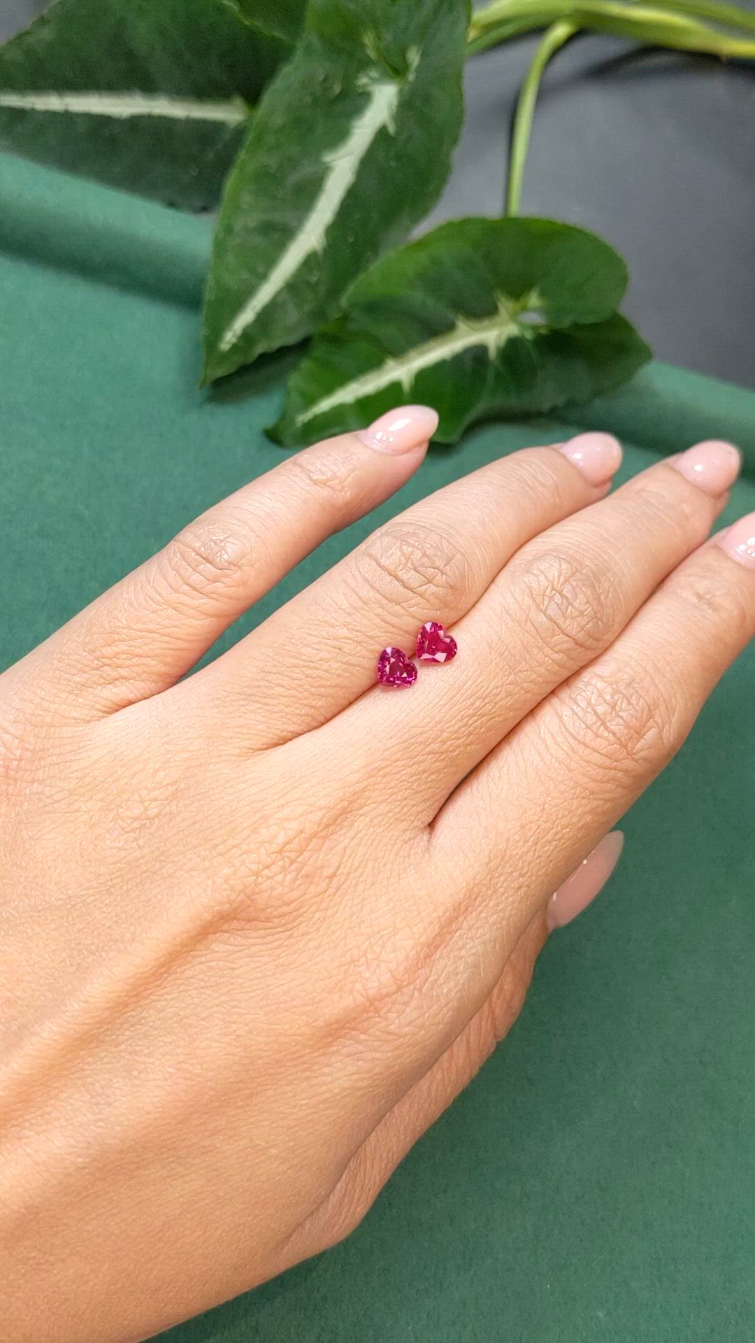 1.24 Ct.Tw.Total Carat Weight Ruby Pair from Mozambique Size Video