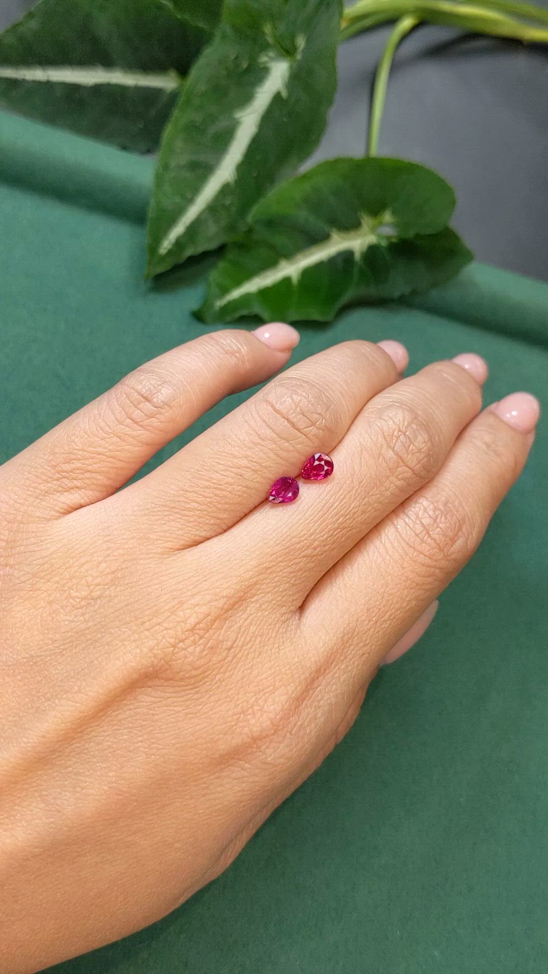 1.25 Ct.Tw.Total Carat Weight Purplish Red Ruby Pair from Mozambique Size Video