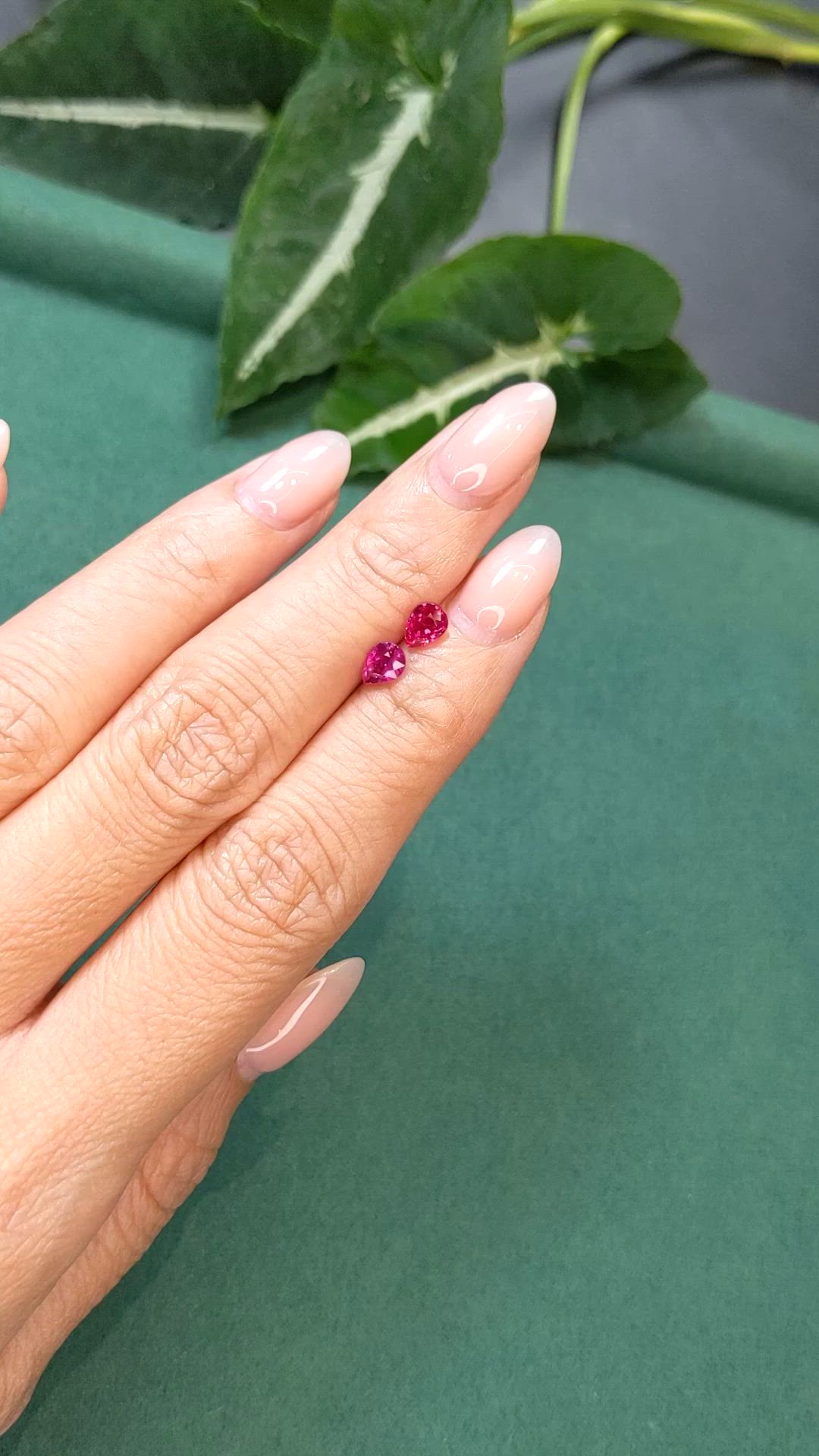 1.25 Ct.Tw.Total Carat Weight Purplish Red Ruby Pair from Mozambique Size Video