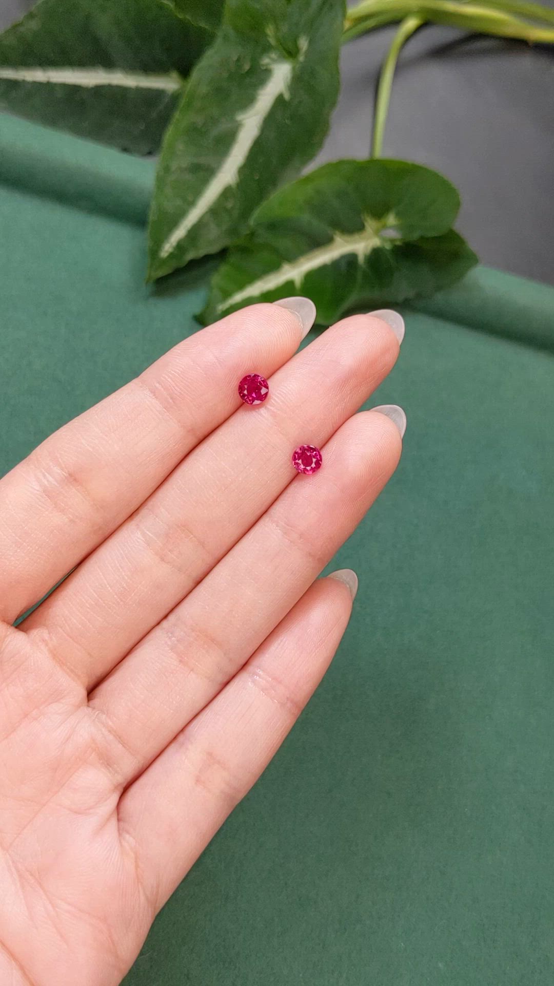 1.31 Ct.Tw.Total Carat Weight Pinkish Red Ruby Pair from Mozambique Size Video