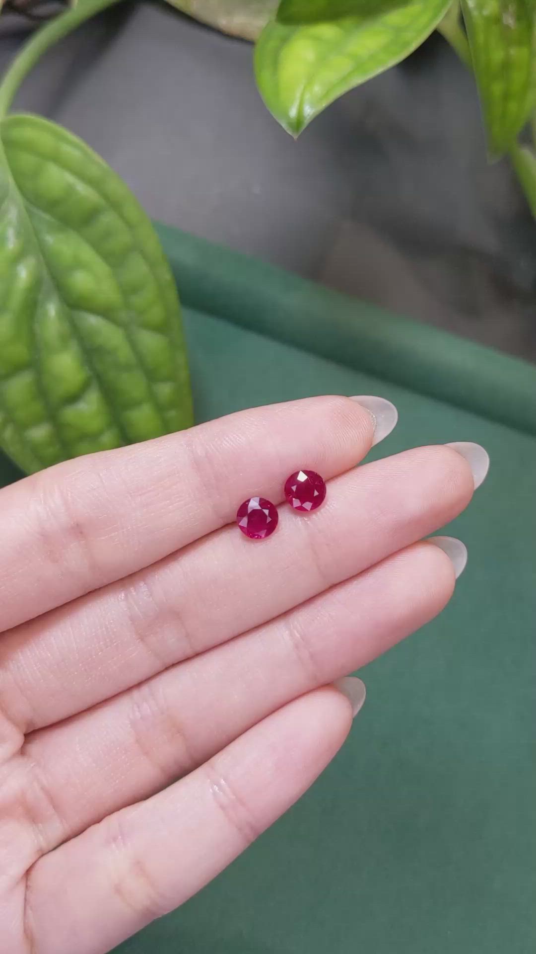 1.89 Ct.Tw.Total Carat Weight Ruby Pair from Mozambique Size Video