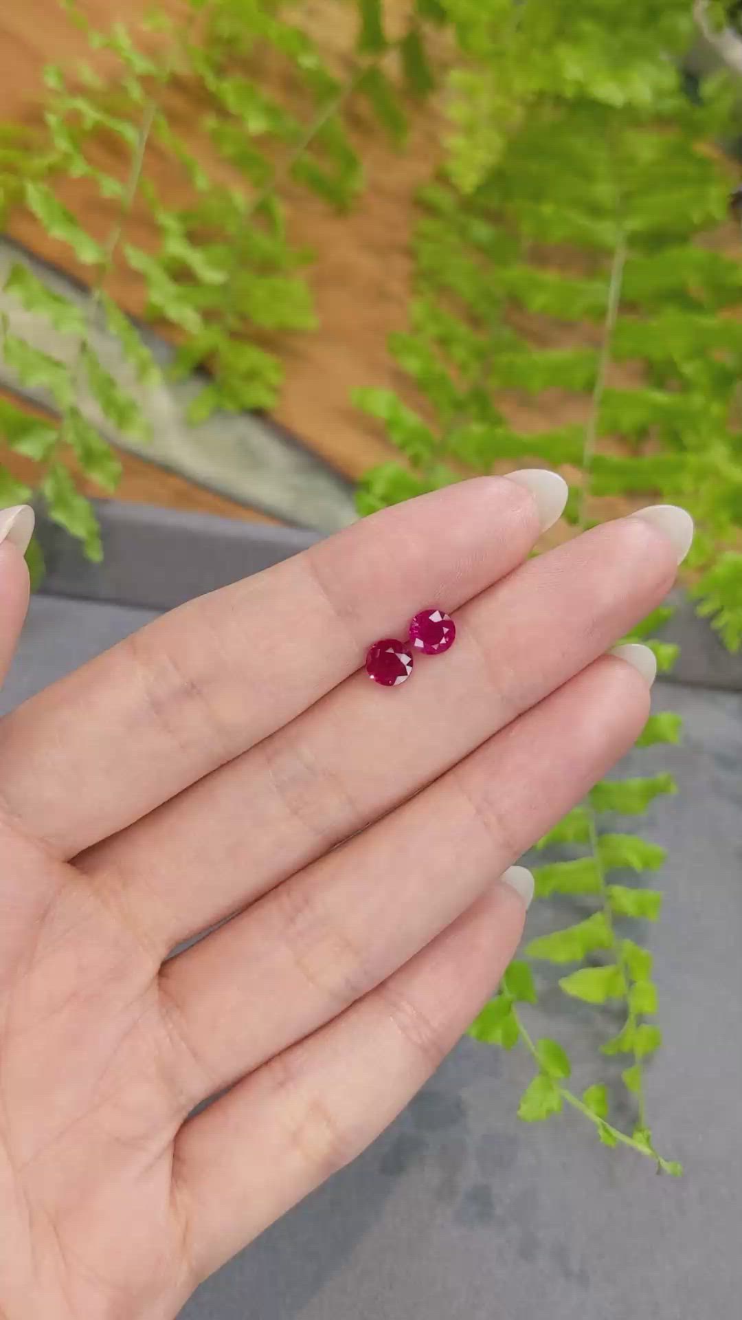 1.29&nbsp;Ct.Tw.Total Carat Weight Purplish Red Ruby Pair from Mozambique Size Video
