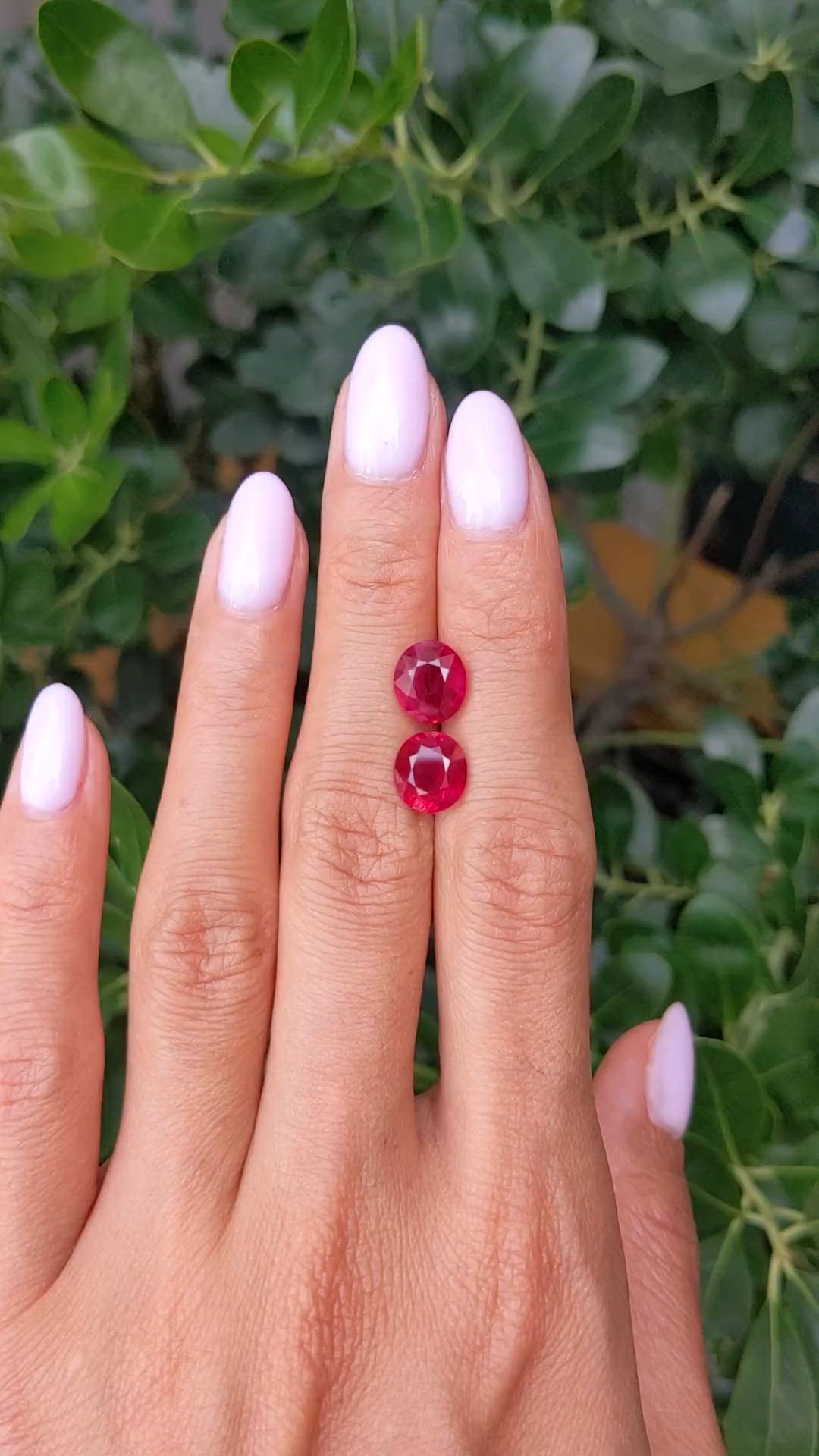 6.18&nbsp;Ct.Tw.Total Carat Weight Ruby Pair from Burma (Myanmar) Size Video