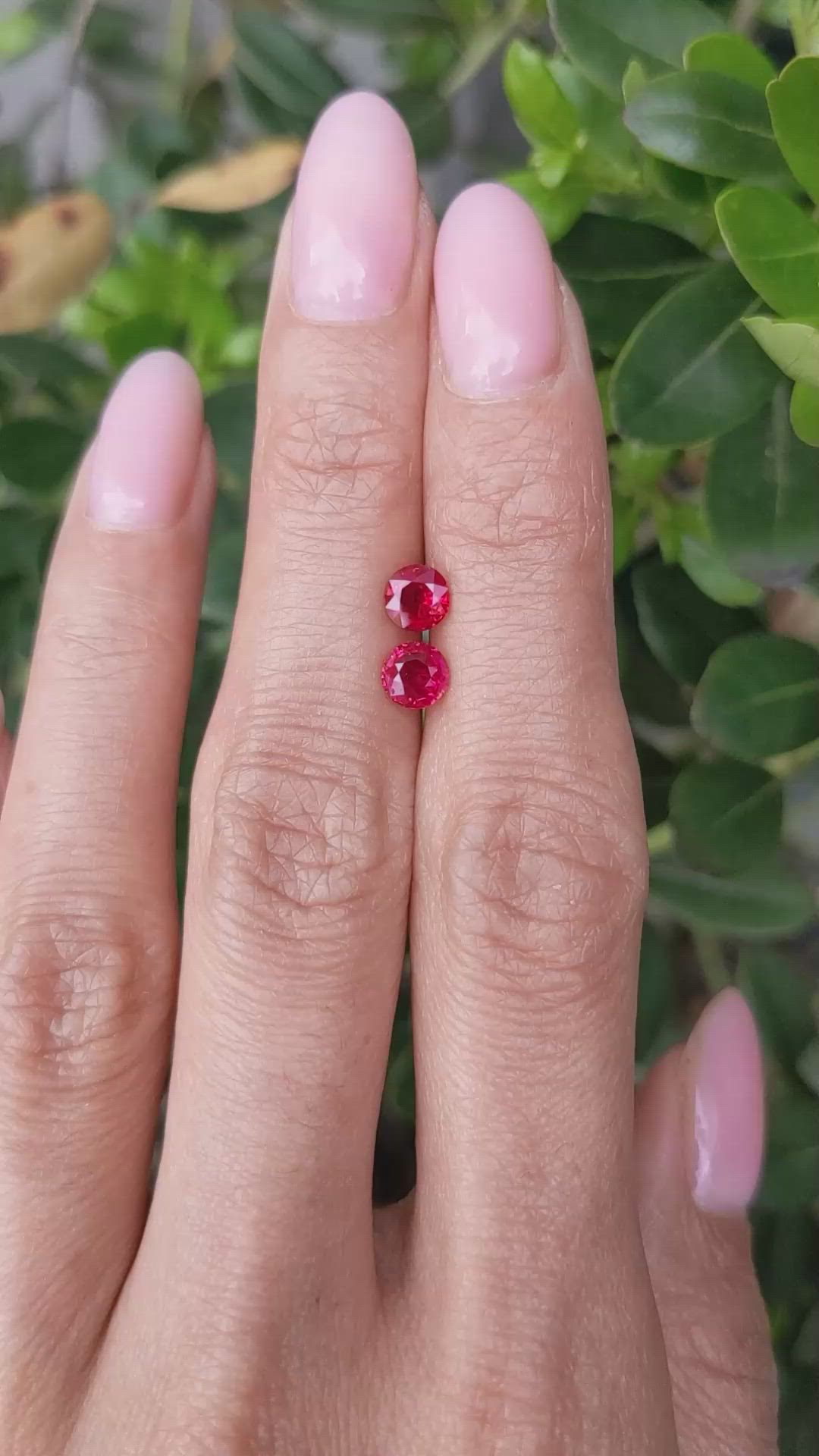 1.13&nbsp;Ct.Tw.Total Carat Weight Ruby Pair from Mozambique Size Video