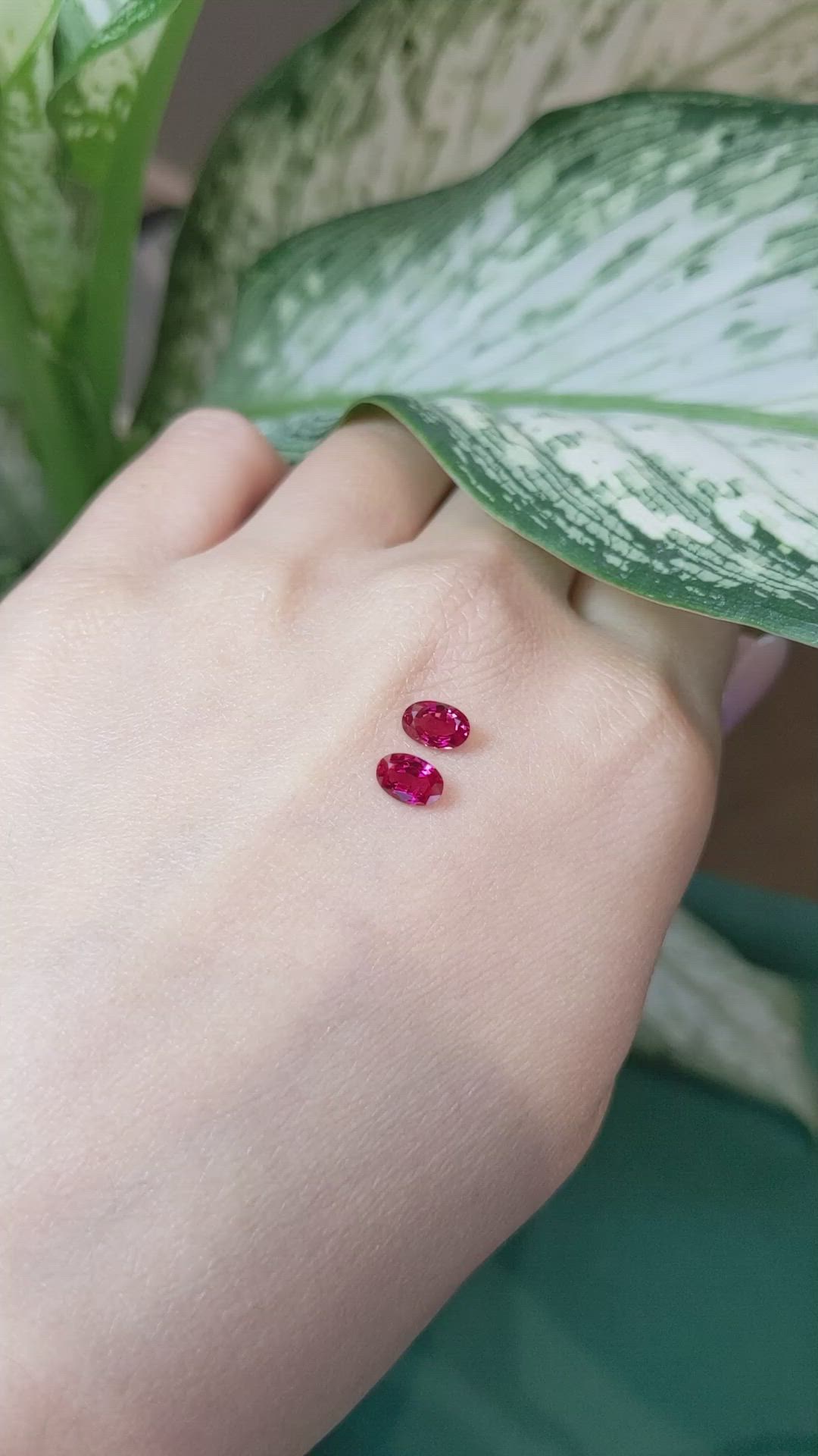 1.03 Ct.Tw.Total Carat Weight Ruby Pair from Mozambique Size Video
