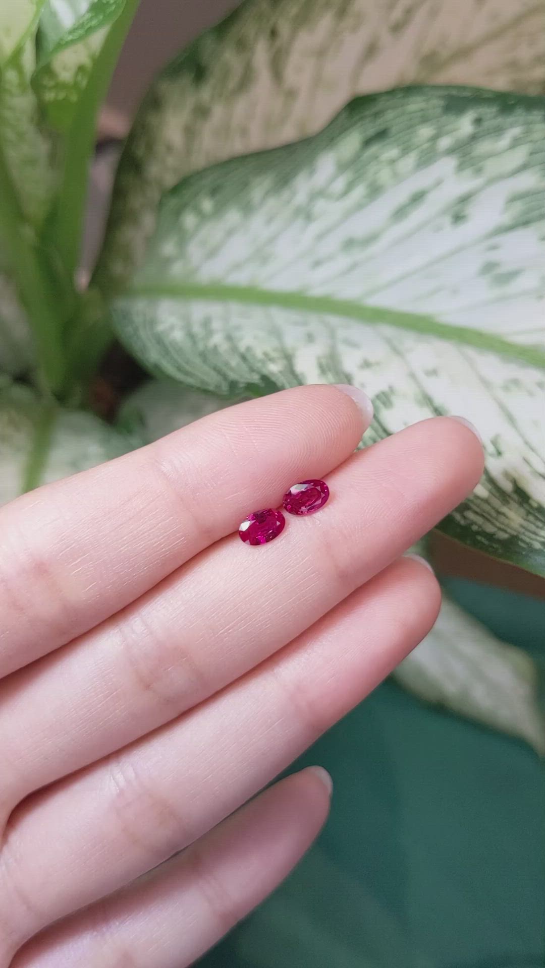 1.03 Ct.Tw.Total Carat Weight Ruby Pair from Mozambique Size Video