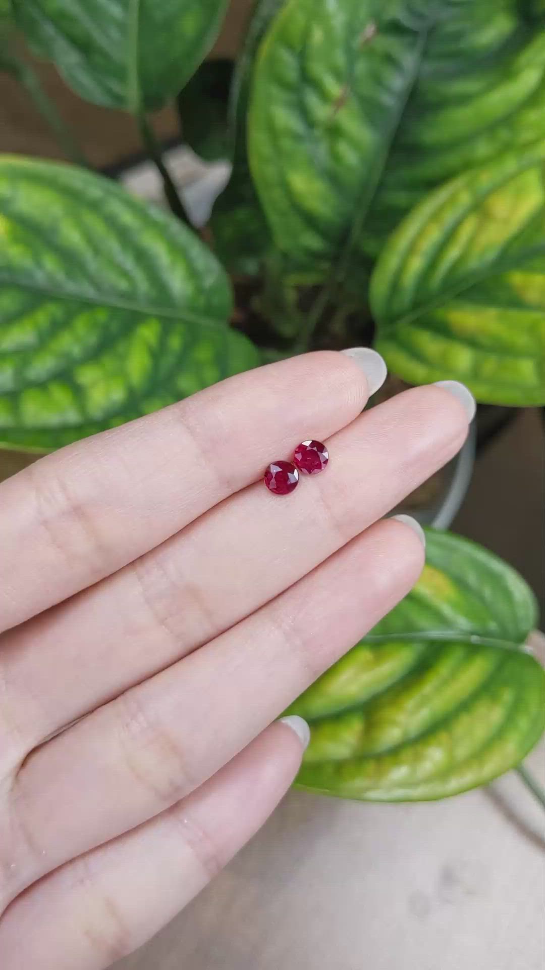 0.95 Ct.Tw.Total Carat Weight Ruby Pair from Mozambique Size Video