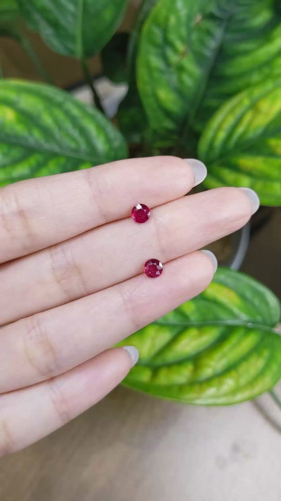 0.95 Ct.Tw.Total Carat Weight Ruby Pair from Mozambique Size Video