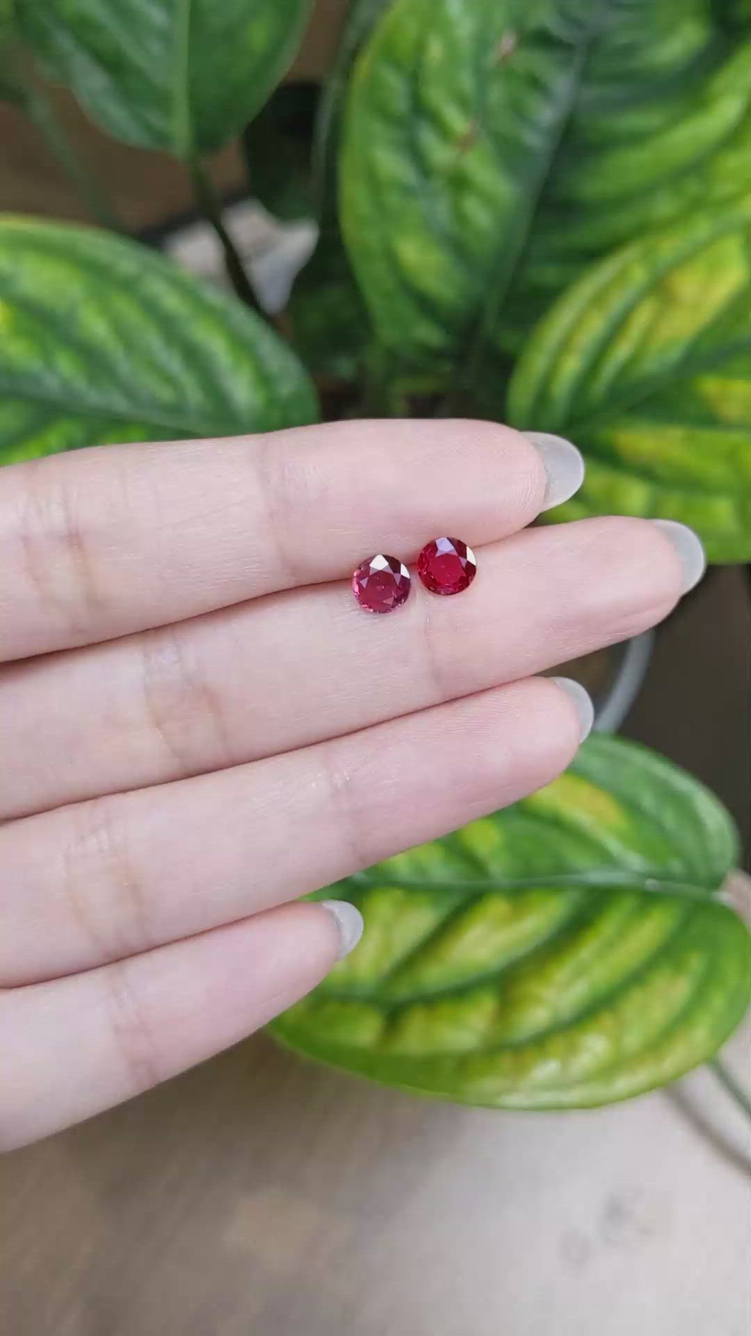 1.28 Ct.Tw.Total Carat Weight Ruby Pair from Mozambique Size Video