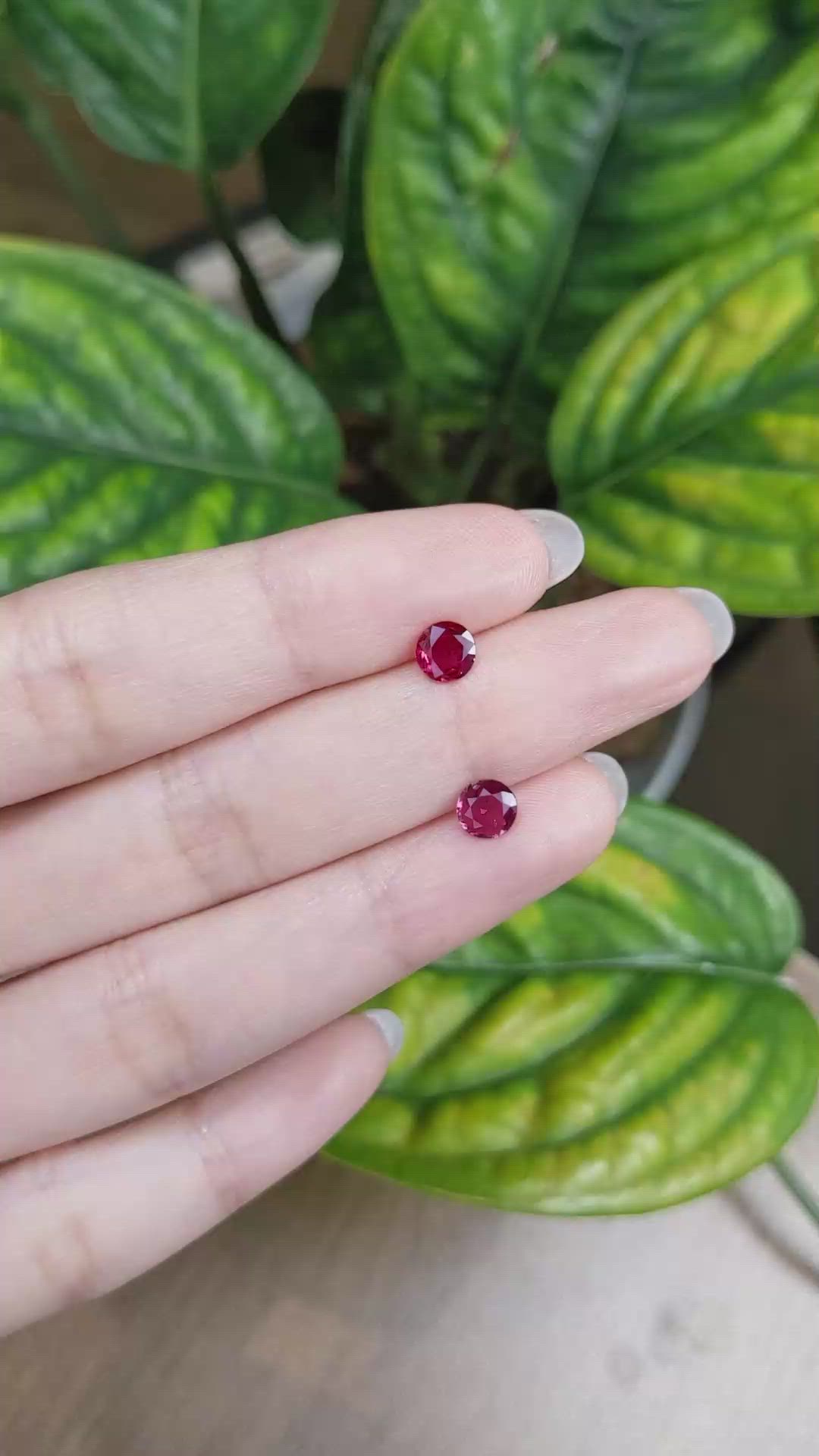 1.28 Ct.Tw.Total Carat Weight Ruby Pair from Mozambique Size Video