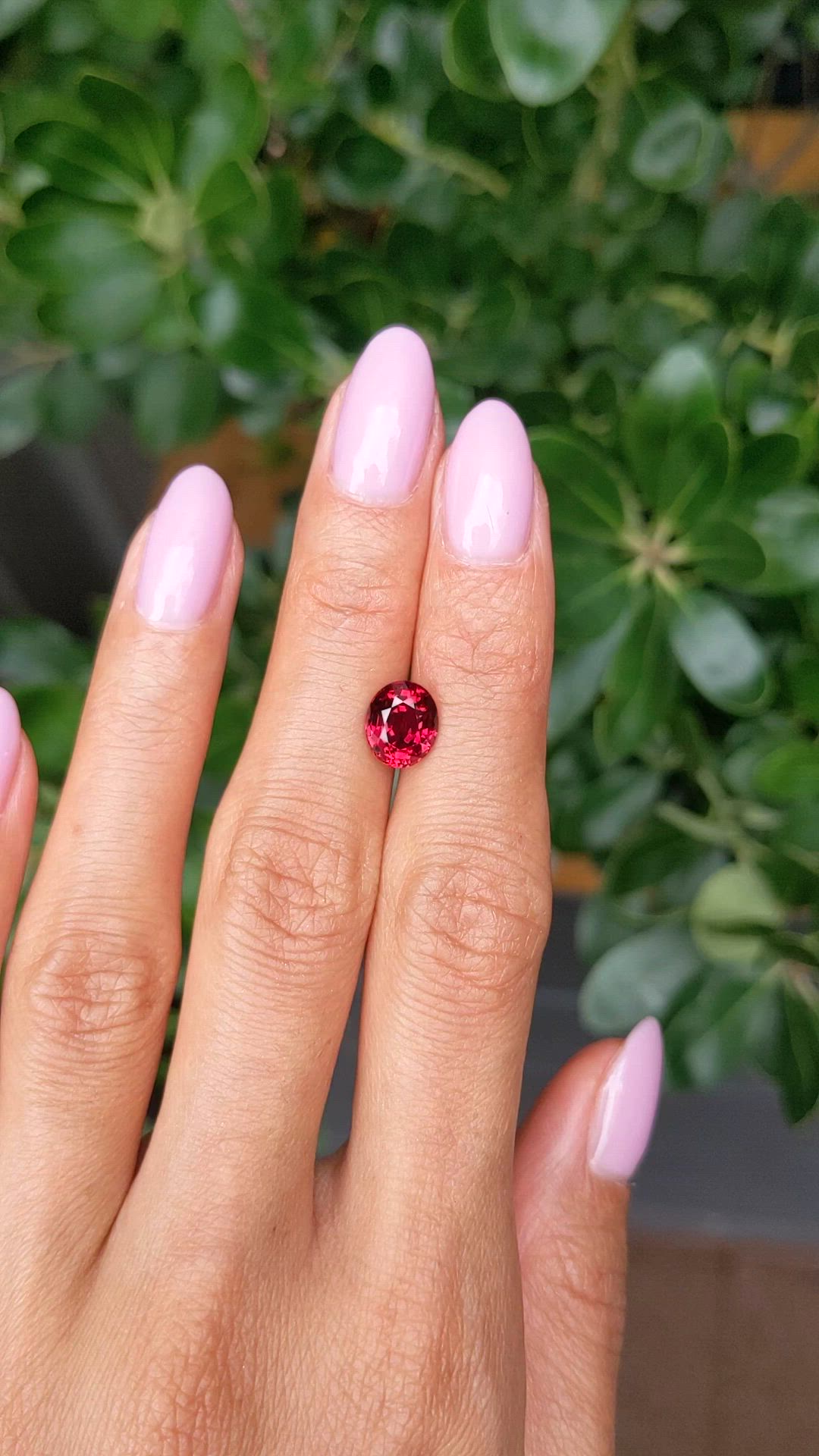 2.52 Ct. Ruby from Mozambique Size Video