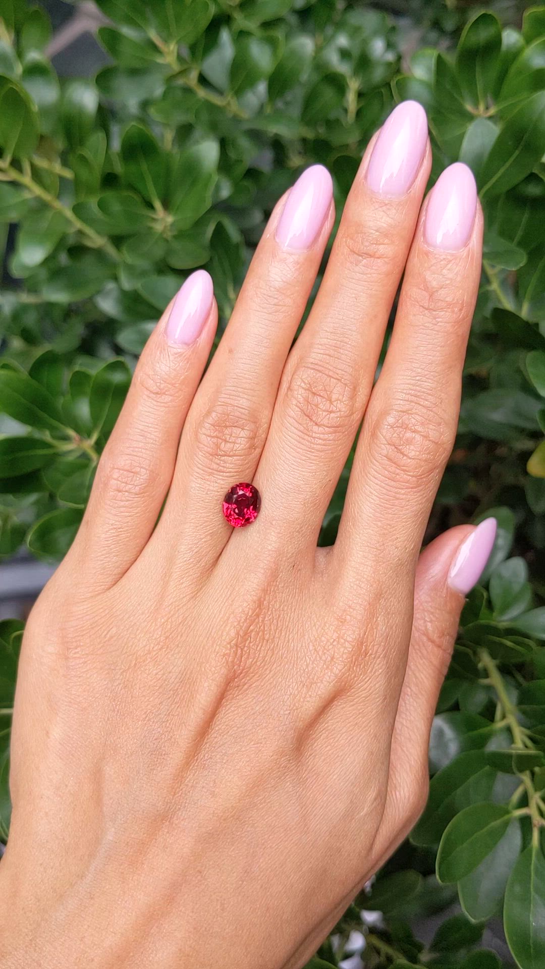 2.52 Ct. Ruby from Mozambique Size Video