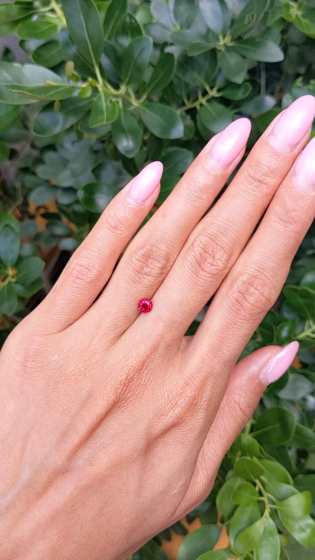 0.62 Ct. Ruby from Mozambique Size Video