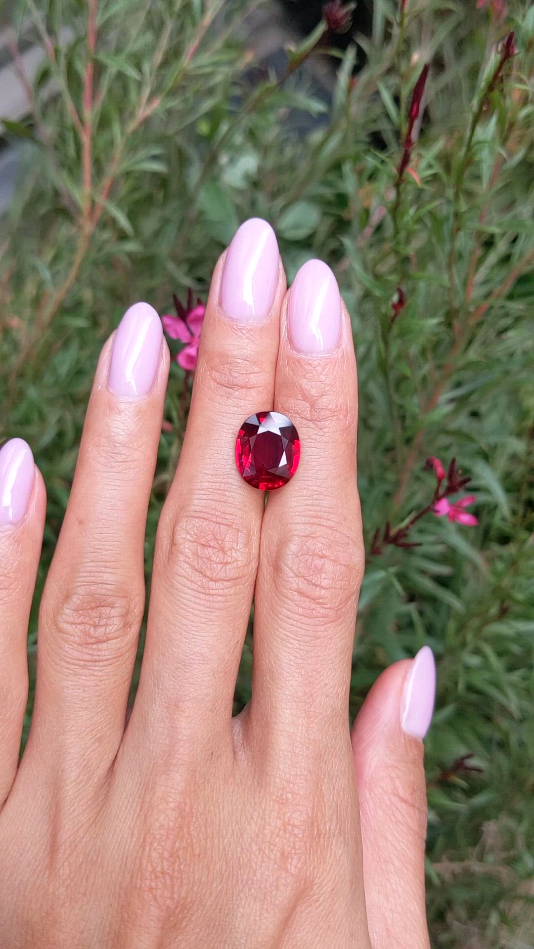6.10 Ct. Ruby from Mozambique Size Video