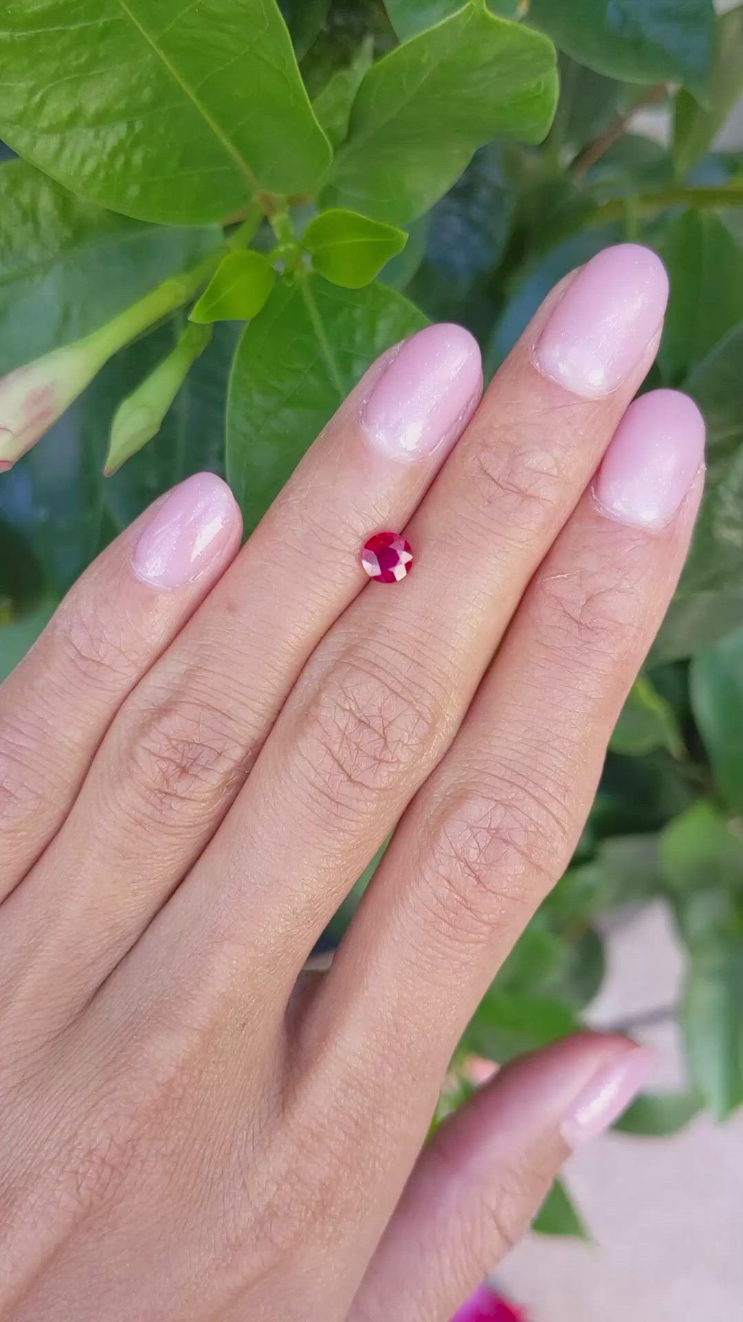 0.68 Ct. Ruby from Mozambique Size Video