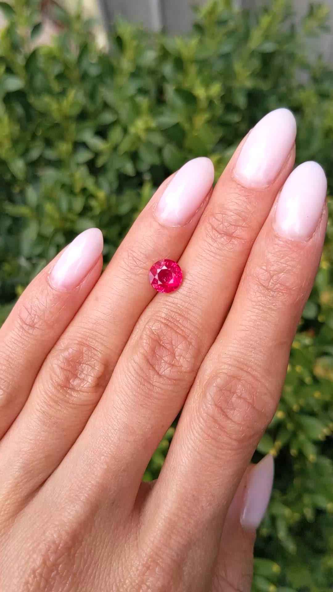 1.55 Ct. Ruby from Mozambique Size Video