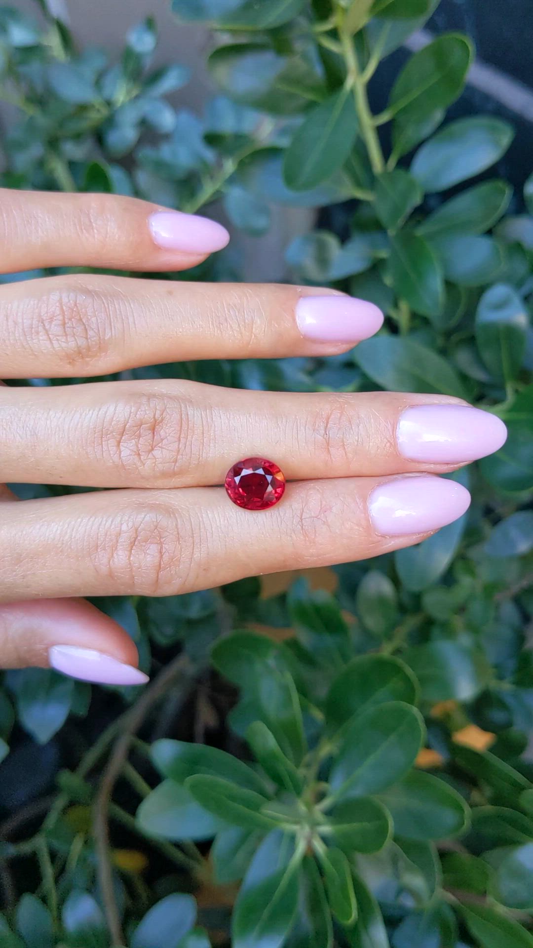 4.04 Ct. Ruby from Mozambique Size Video