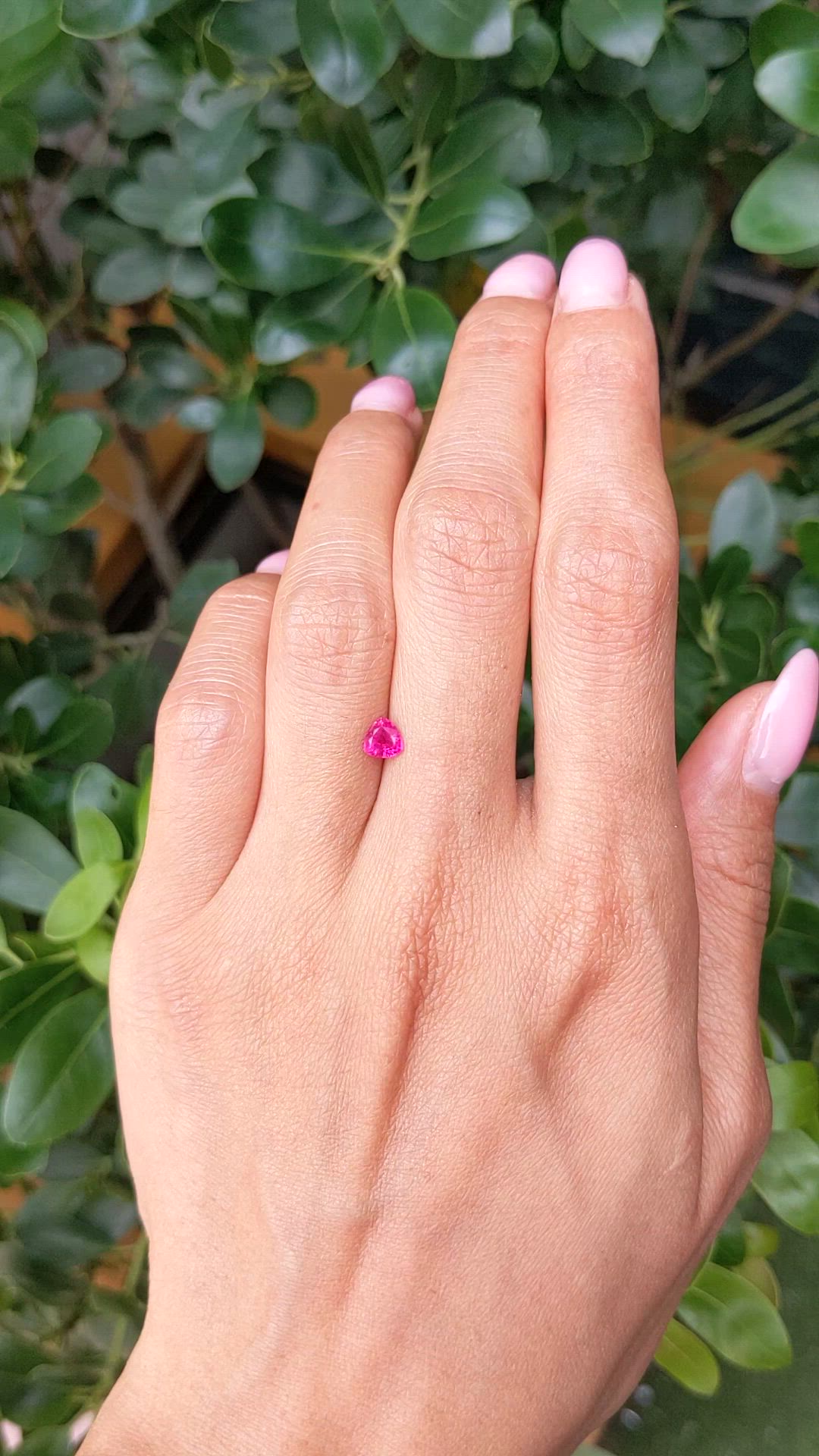 0.49 Ct. Pinkish Red Ruby from Burma (Myanmar) Size Video