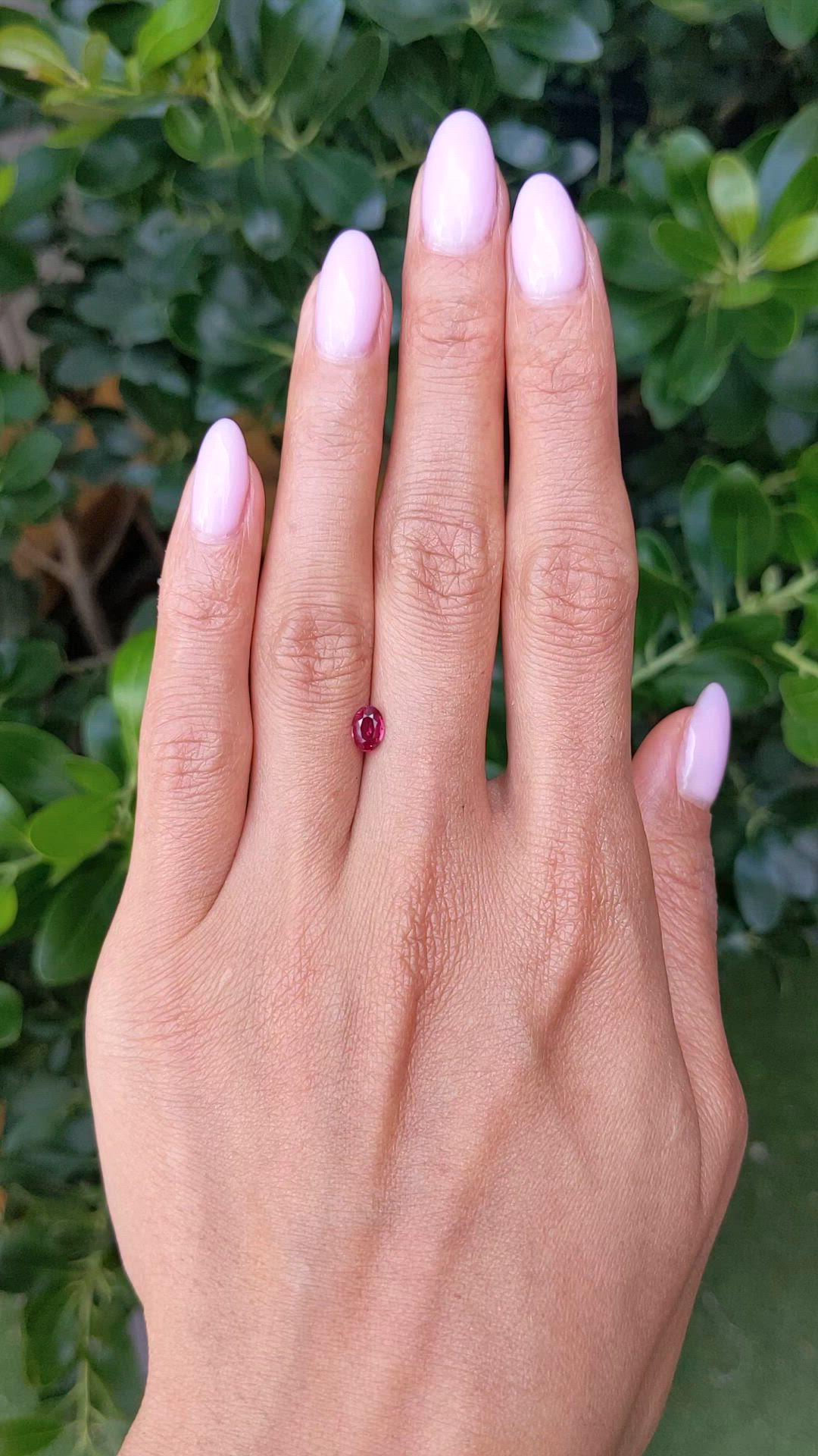 0.63 Ct. Ruby from Thailand Size Video