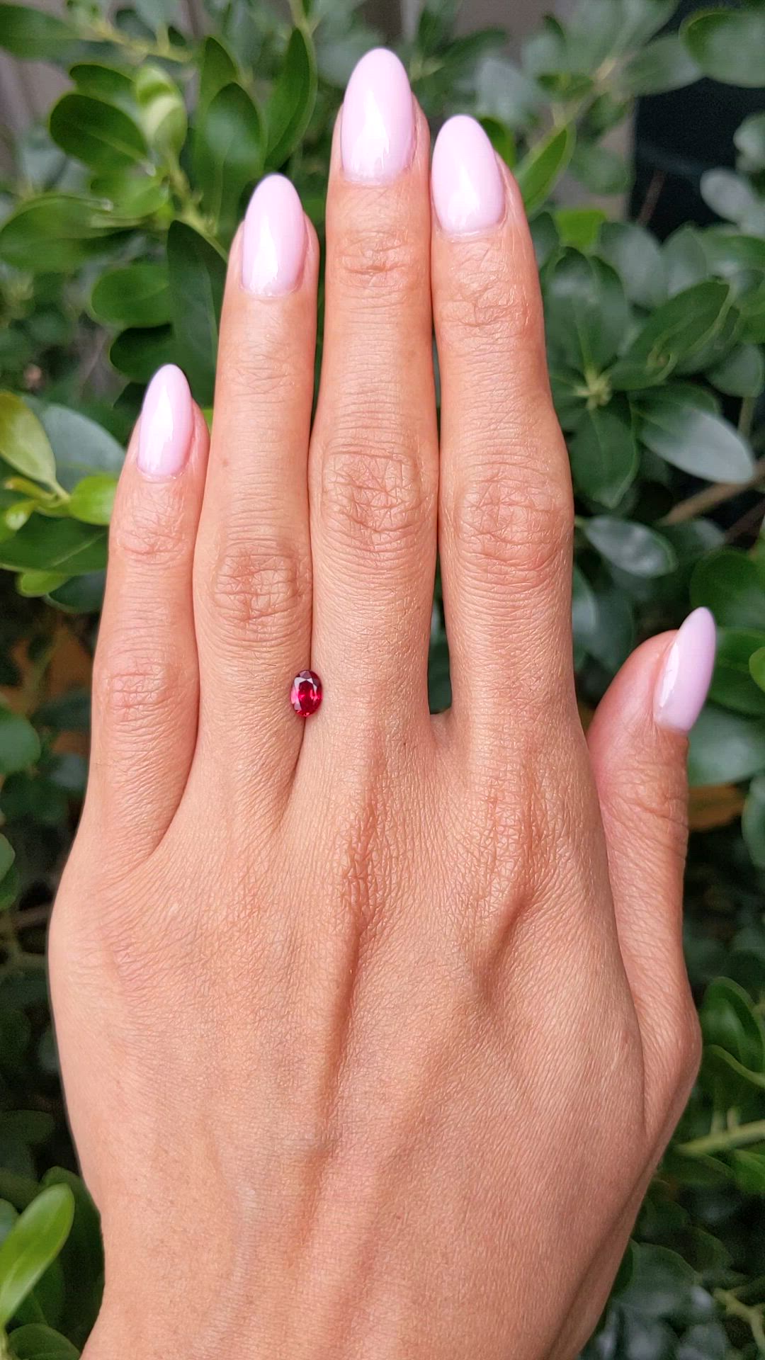 0.61 Ct. Ruby from Burma (Myanmar) Size Video