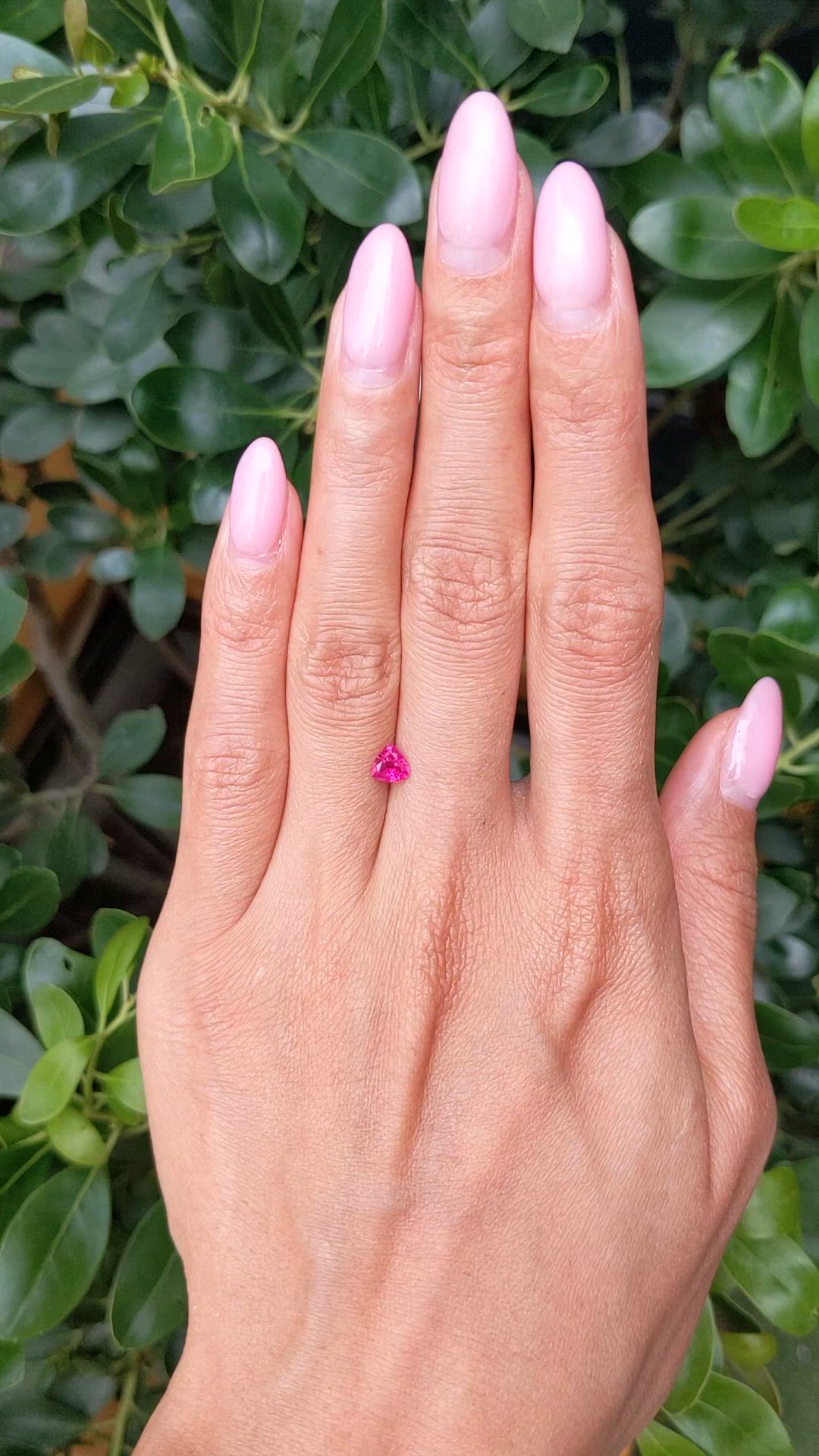 0.51 Ct. Pinkish Red Ruby from Burma (Myanmar) Size Video