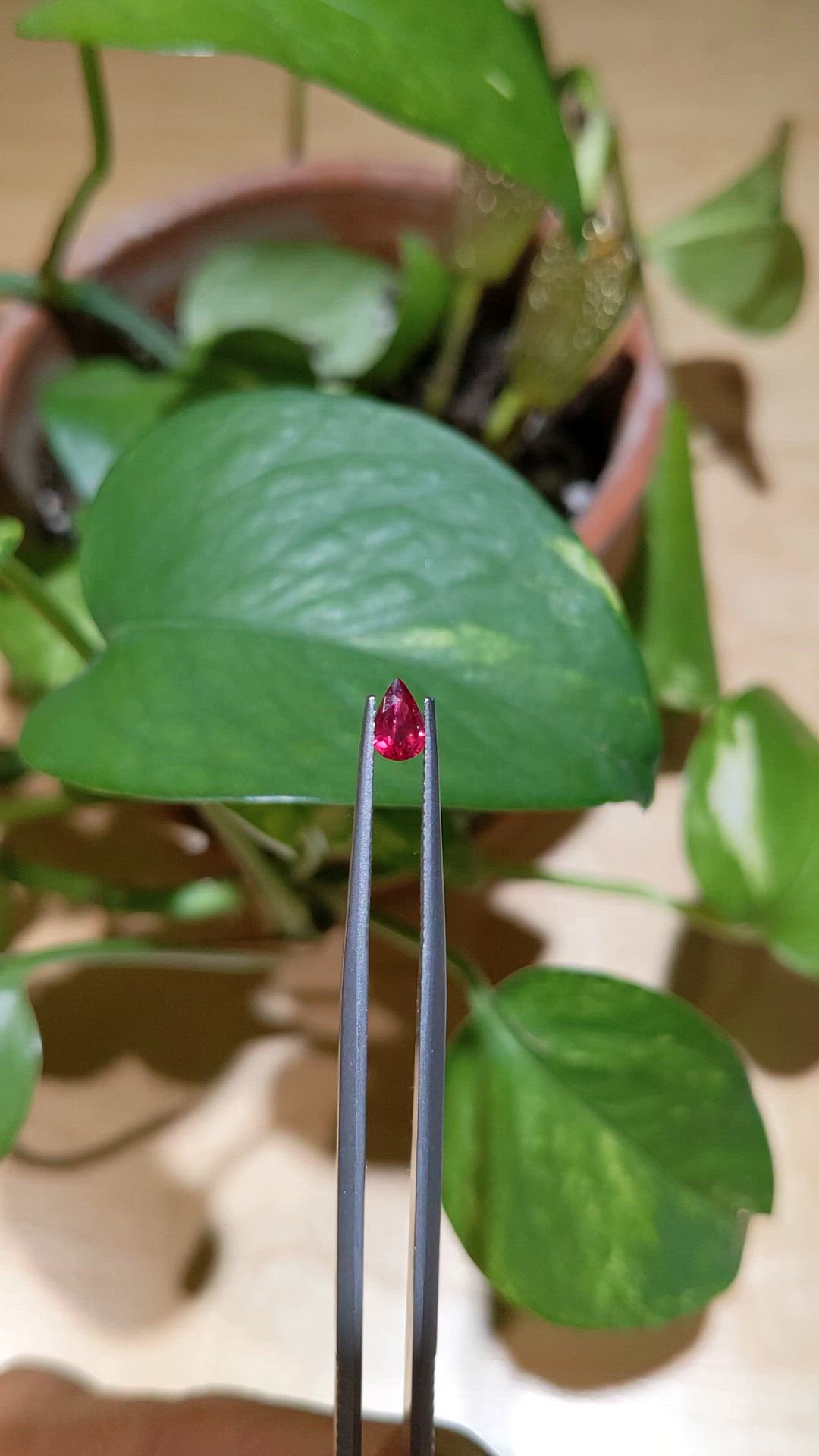 0.36 Ct. Ruby from Thailand Size Video
